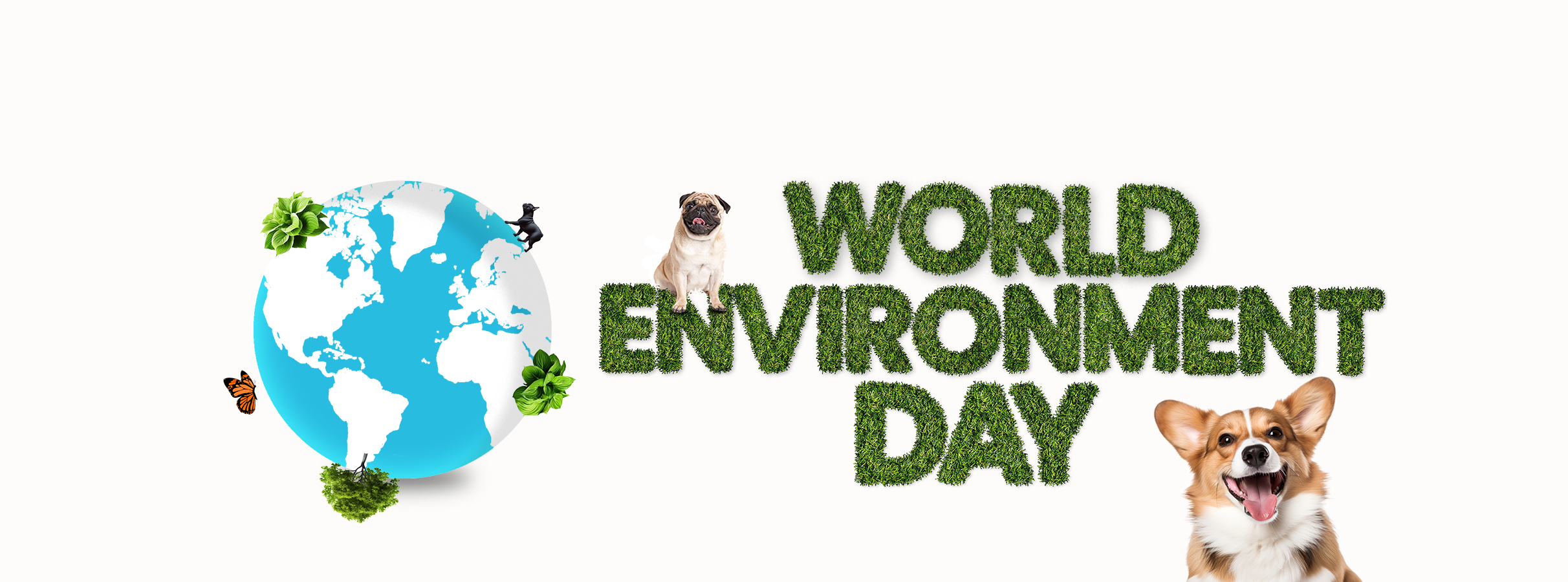 Celebrating Environmental Day: Simple Steps Towards Sustainability