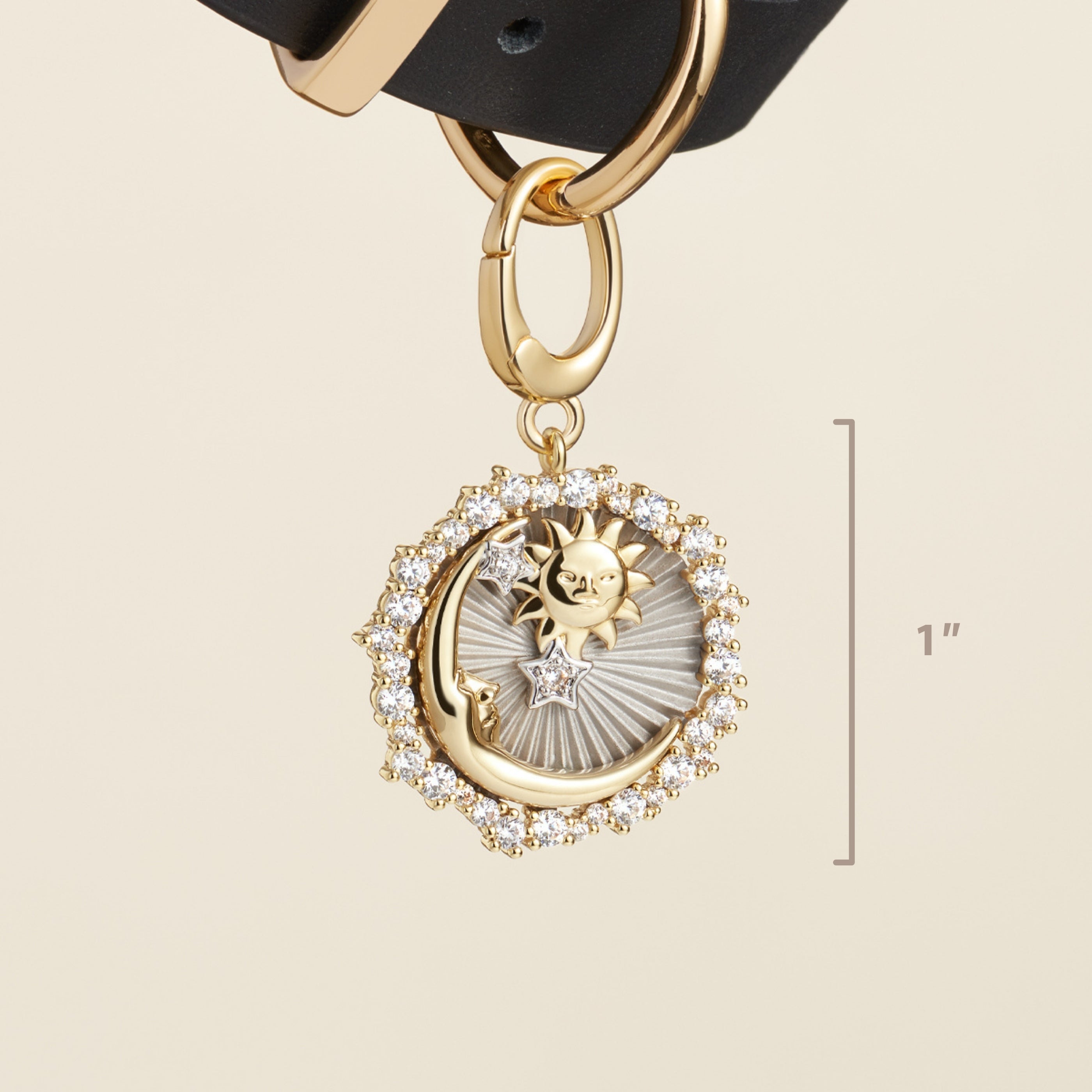 Sun & Moon Pet Id Tag