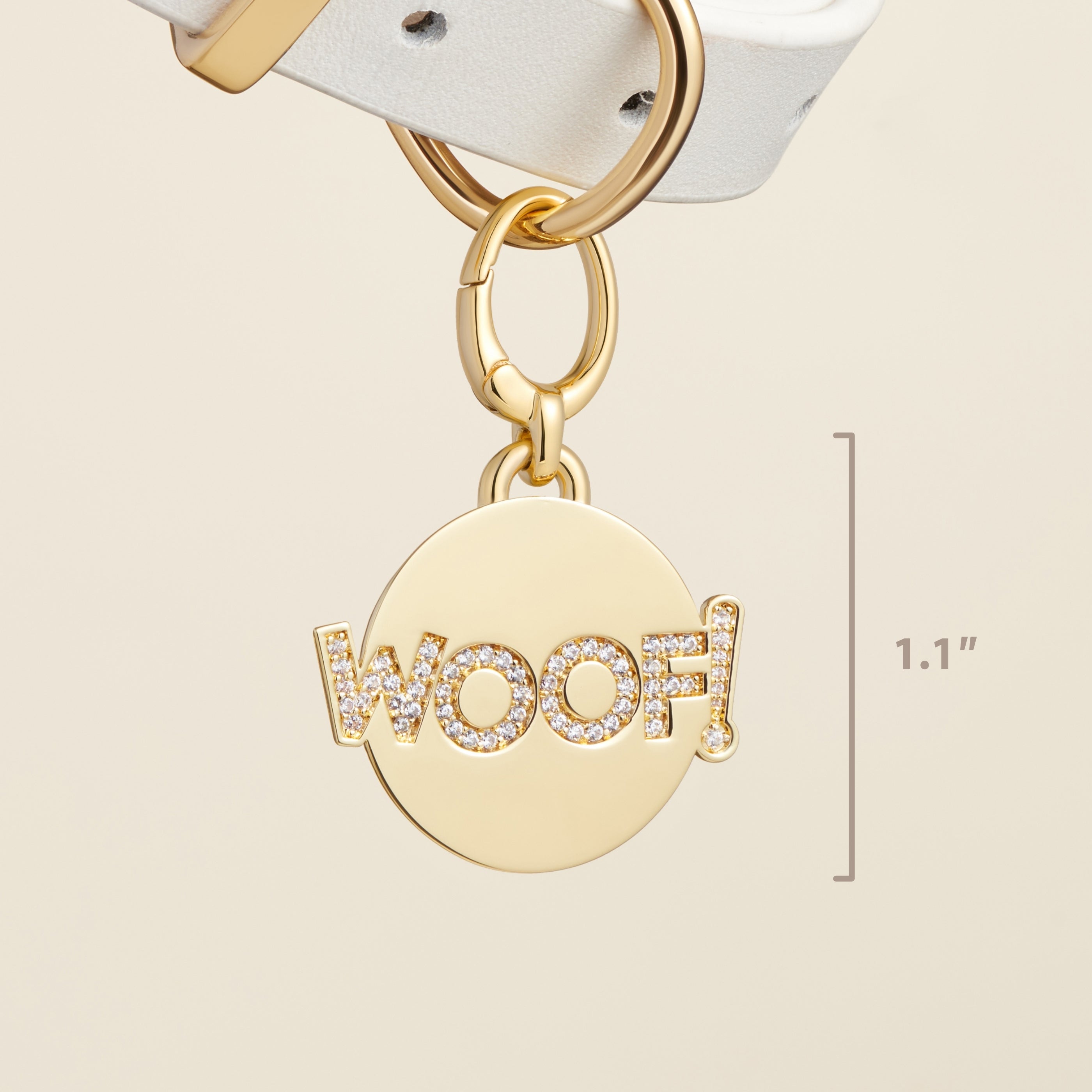 "Woof!" Pet Id Tag