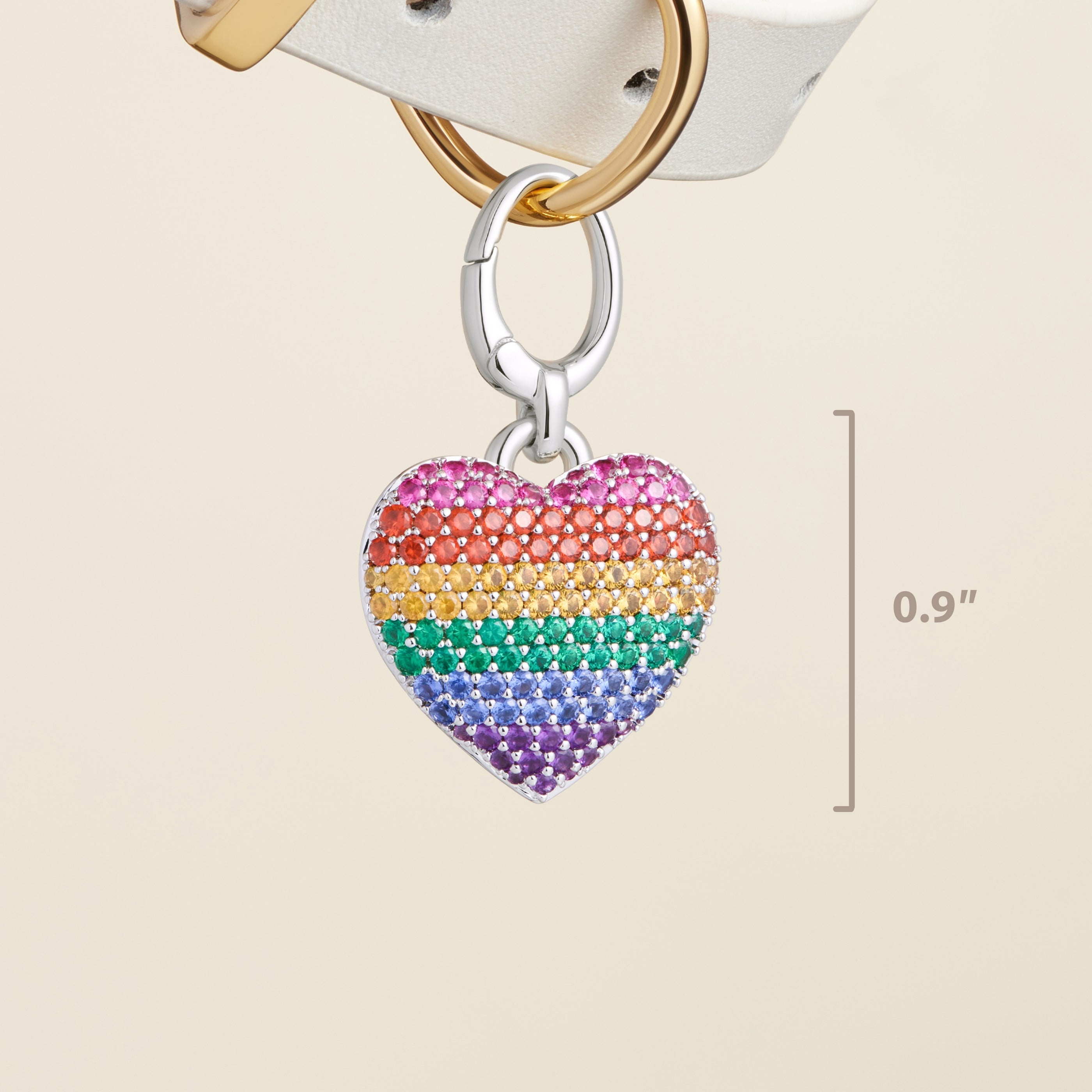 "Rainbow Pride Heart Rhodium" Pet Id Tag