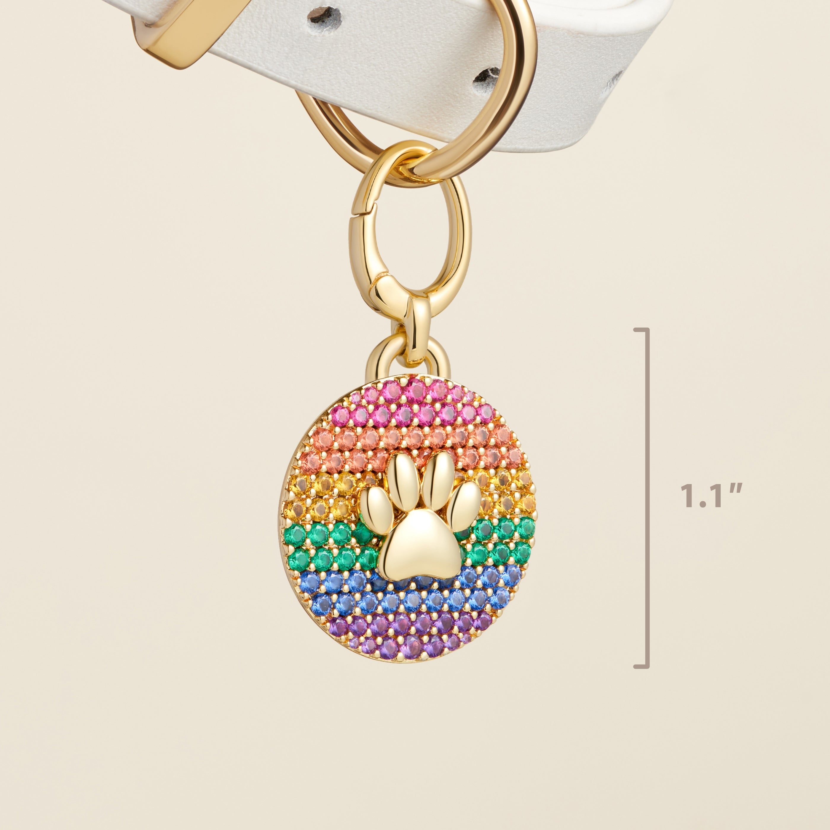 "Rainbow Pride Pawprint Gold" Pet Id Tag