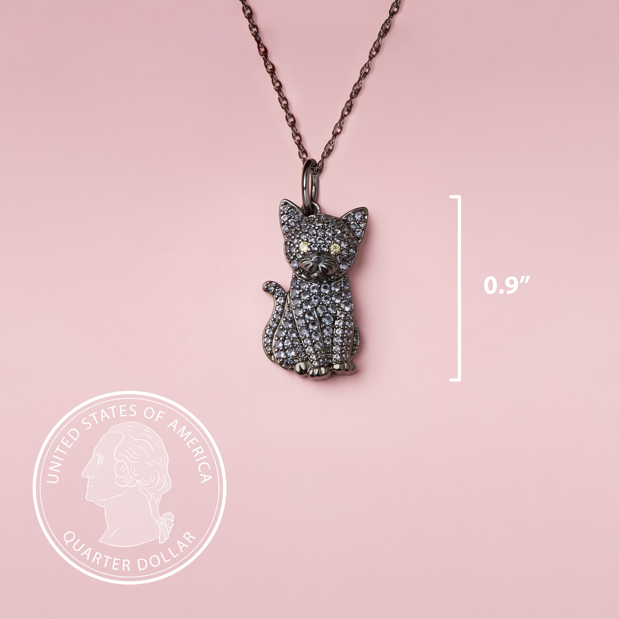 #color_Russian Blue Cat