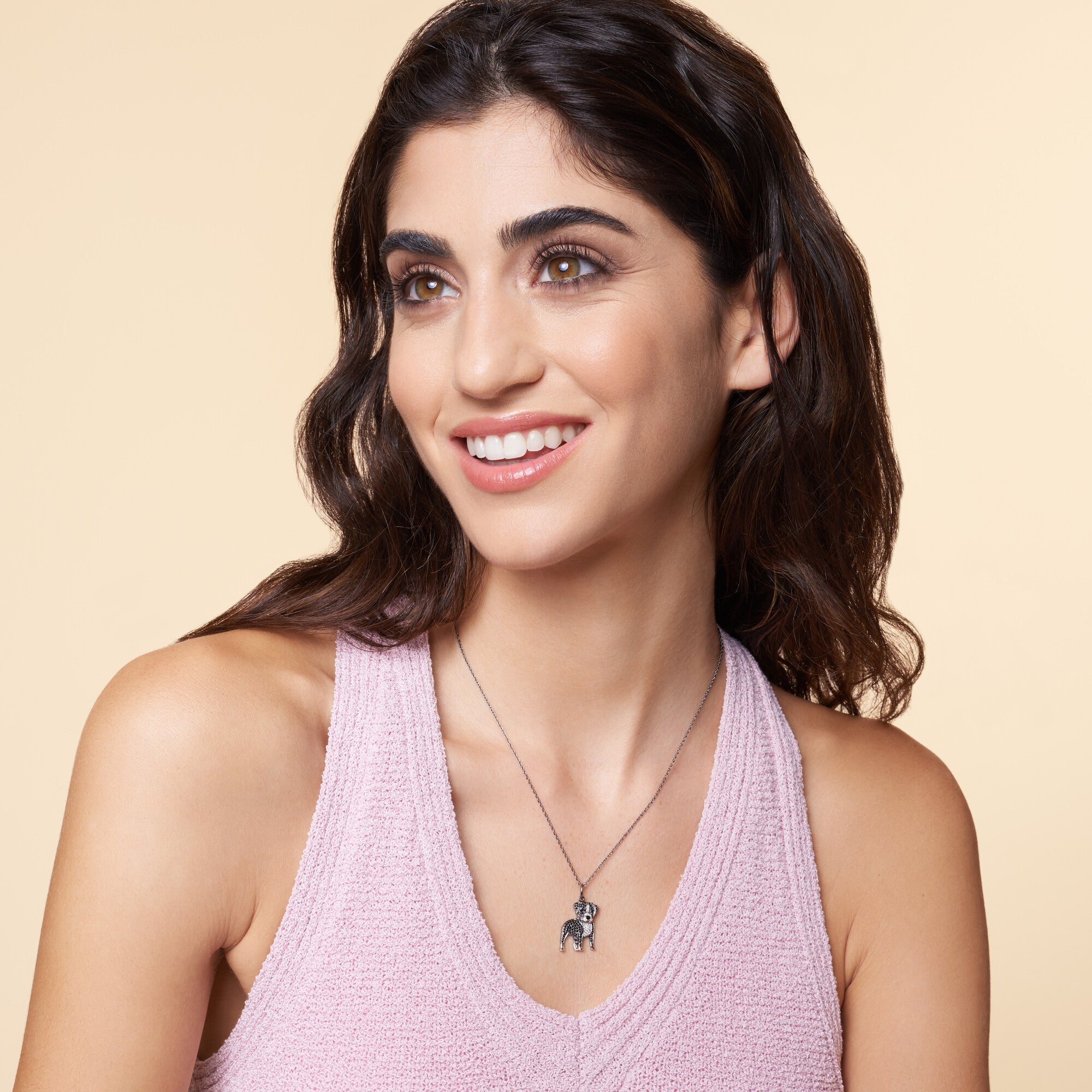 #color_Black Pitbull