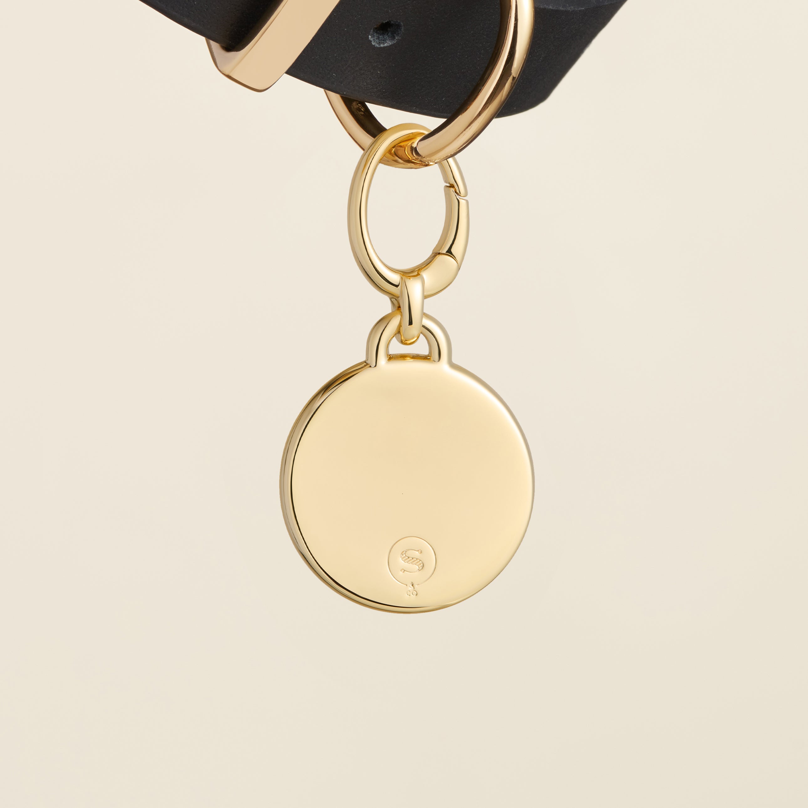 "Rainbow Pride Heart Gold" Pet Id Tag