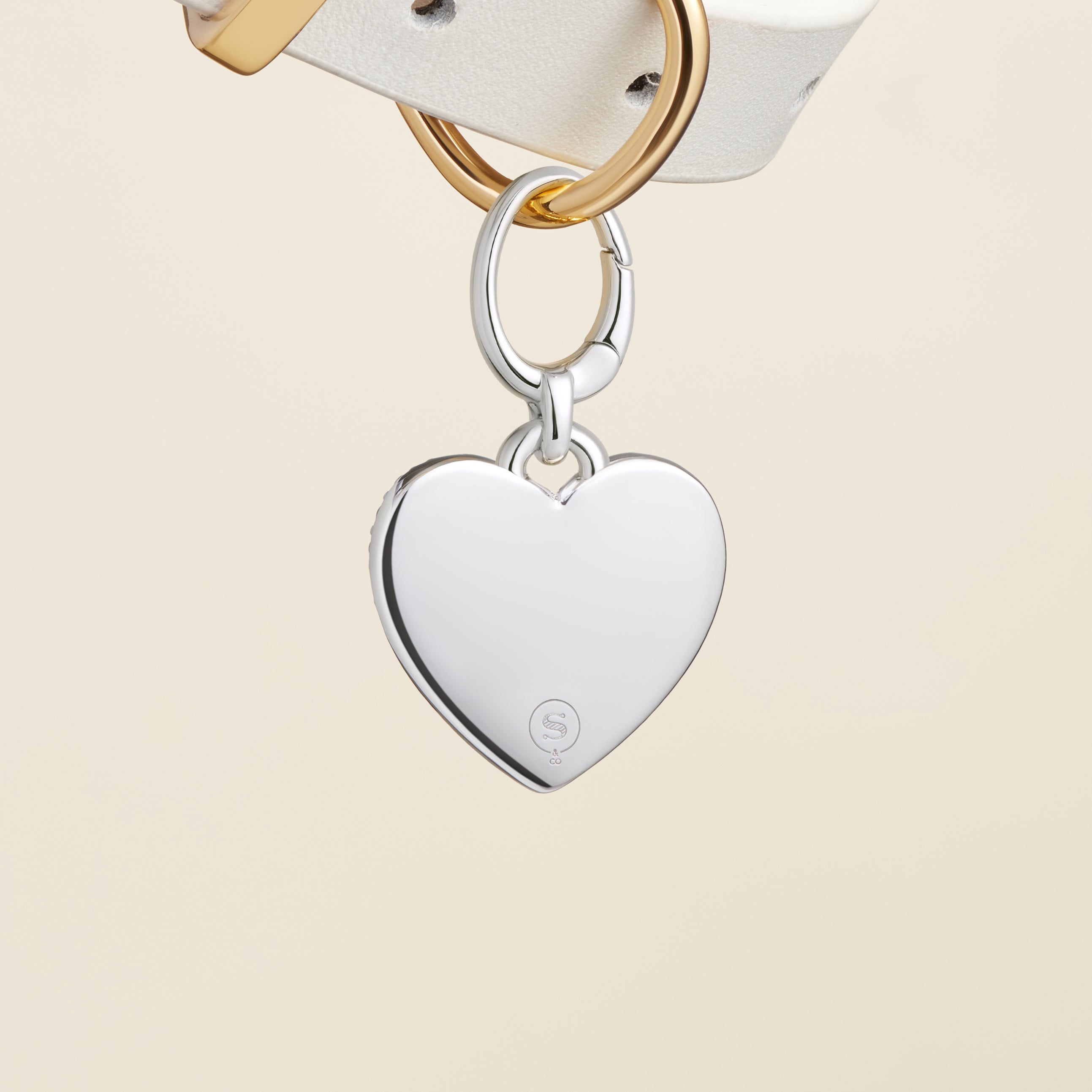 "Rainbow Pride Heart Rhodium" Pet Id Tag