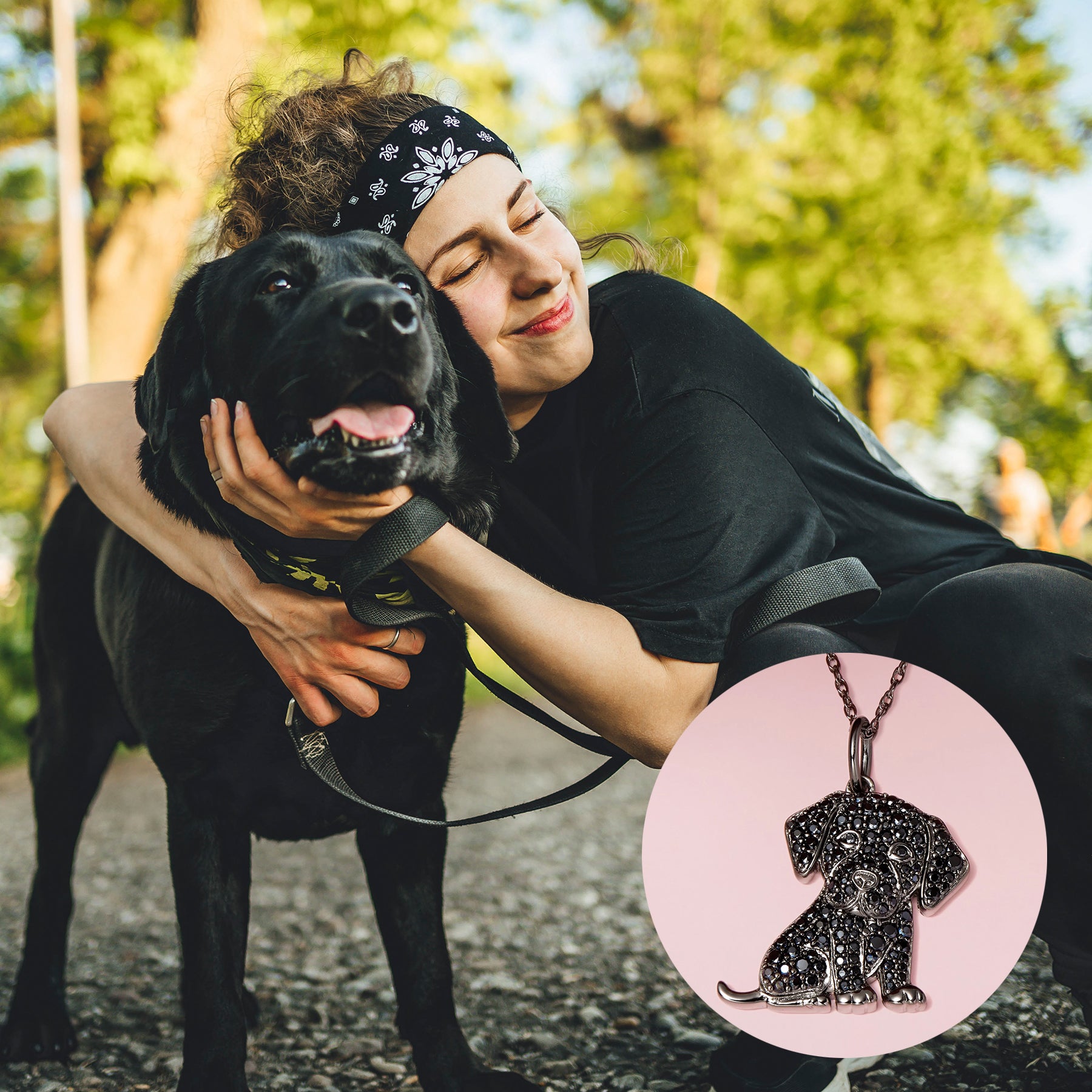 #color_Black Labrador