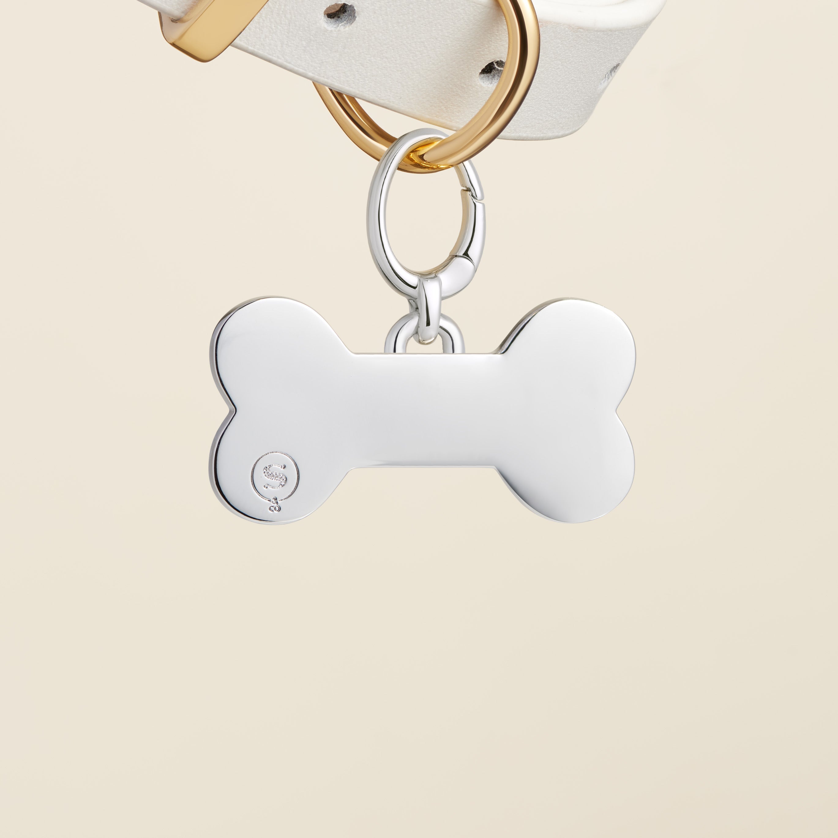 #color_Large Navy Blue Bone