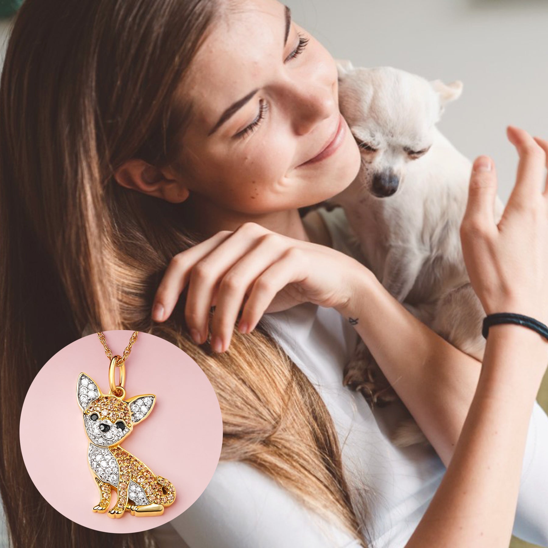 #color_Gold Charming Chihuahua