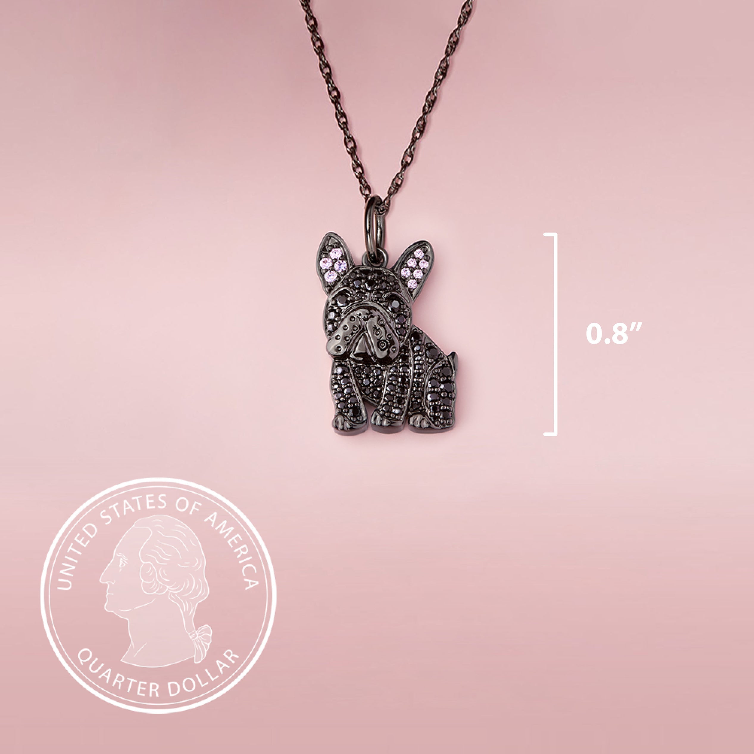 #color_Black Frenchie