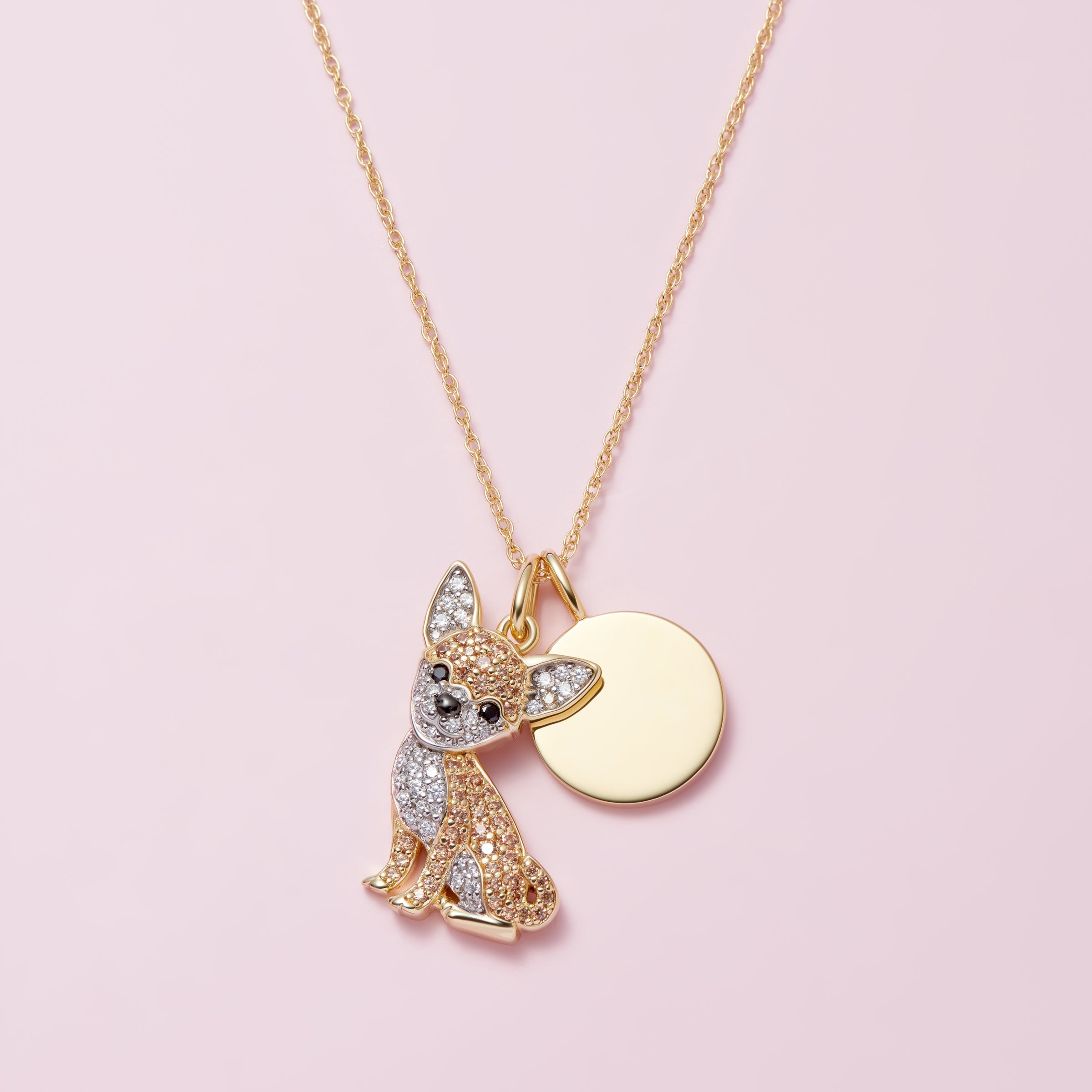 #color_Gold Cheeky Chihuahua