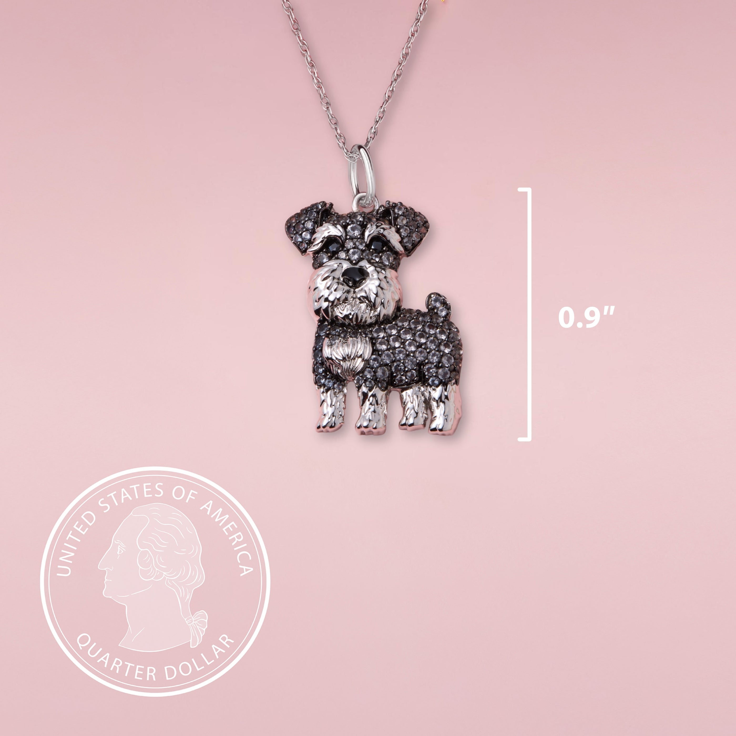 #color_Gray Schnauzer