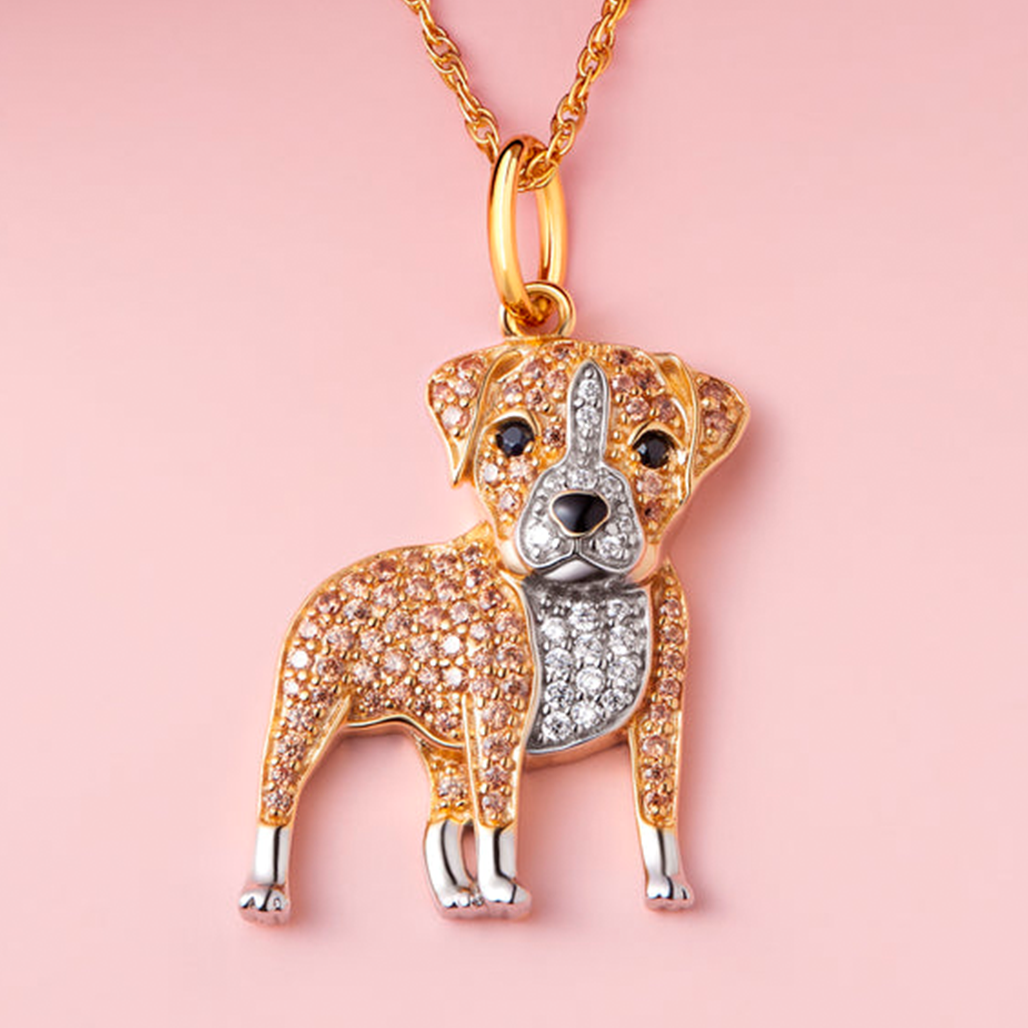 #color_Gold Pitbull
