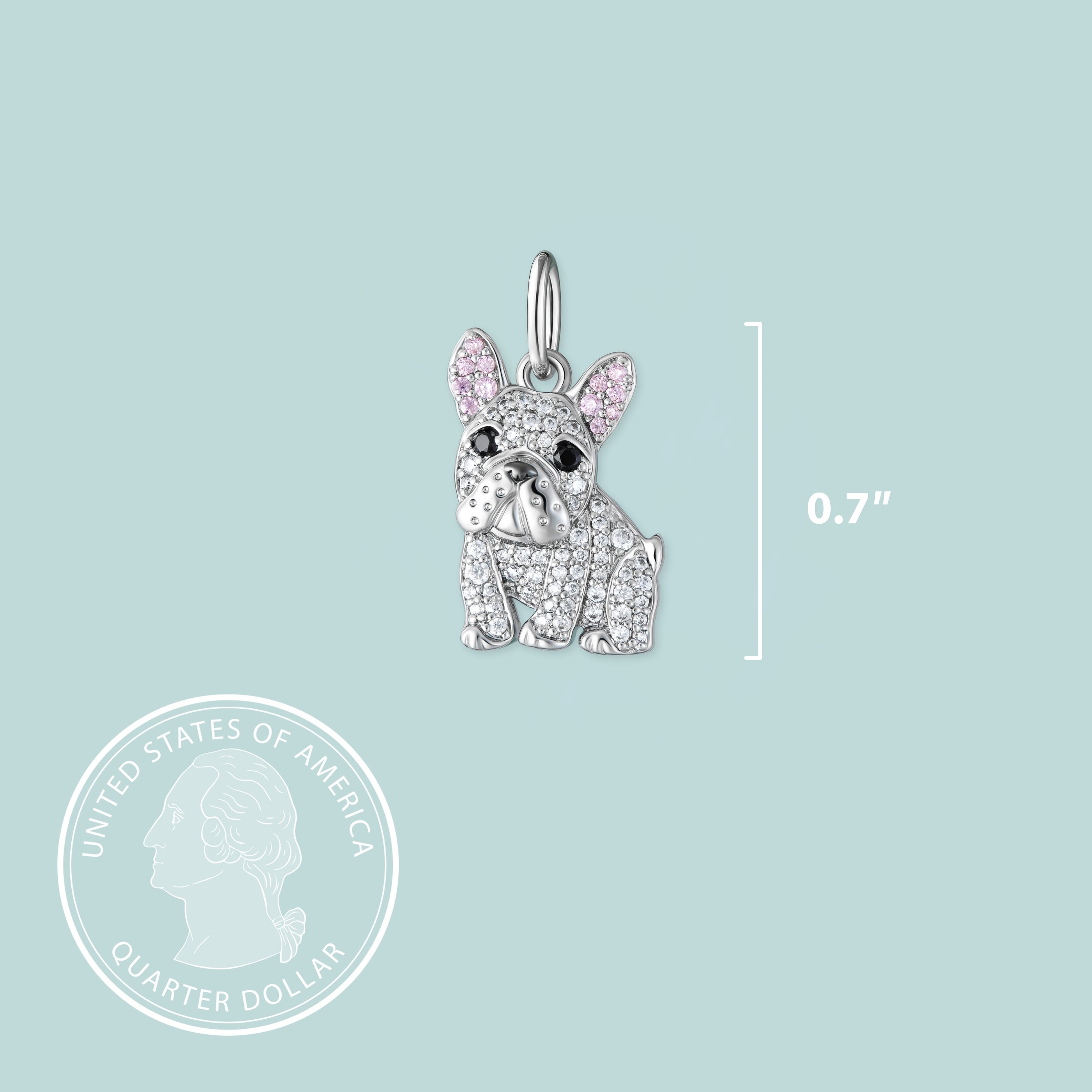#color_White Frenchie Charm