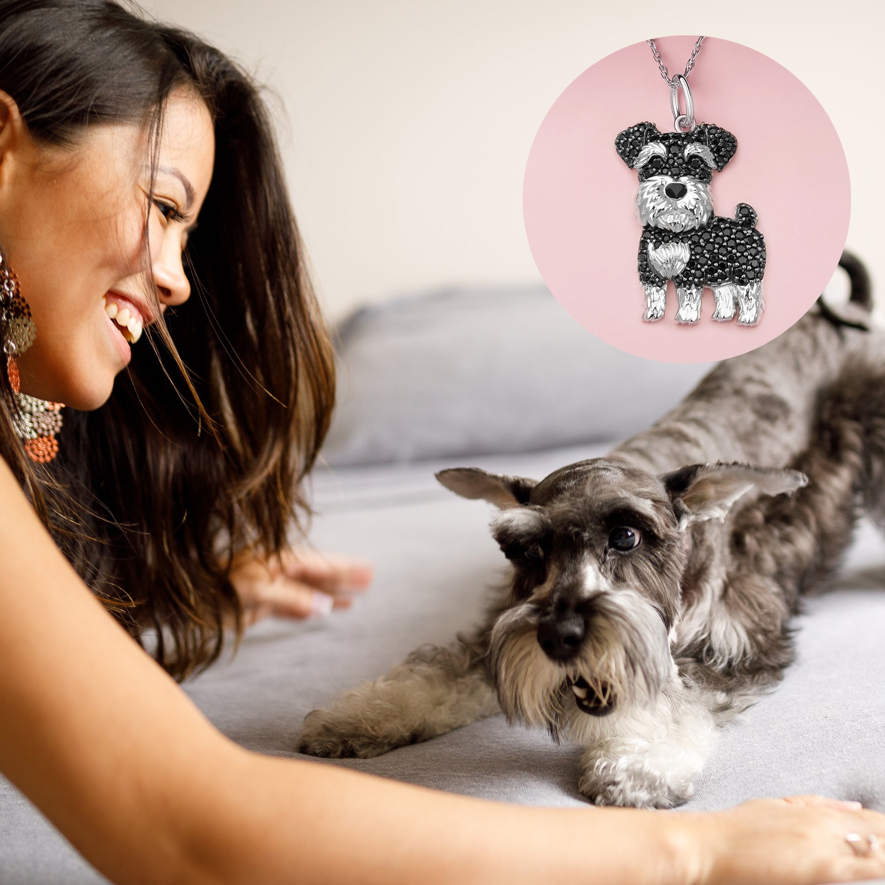 #color_Black Schnauzer