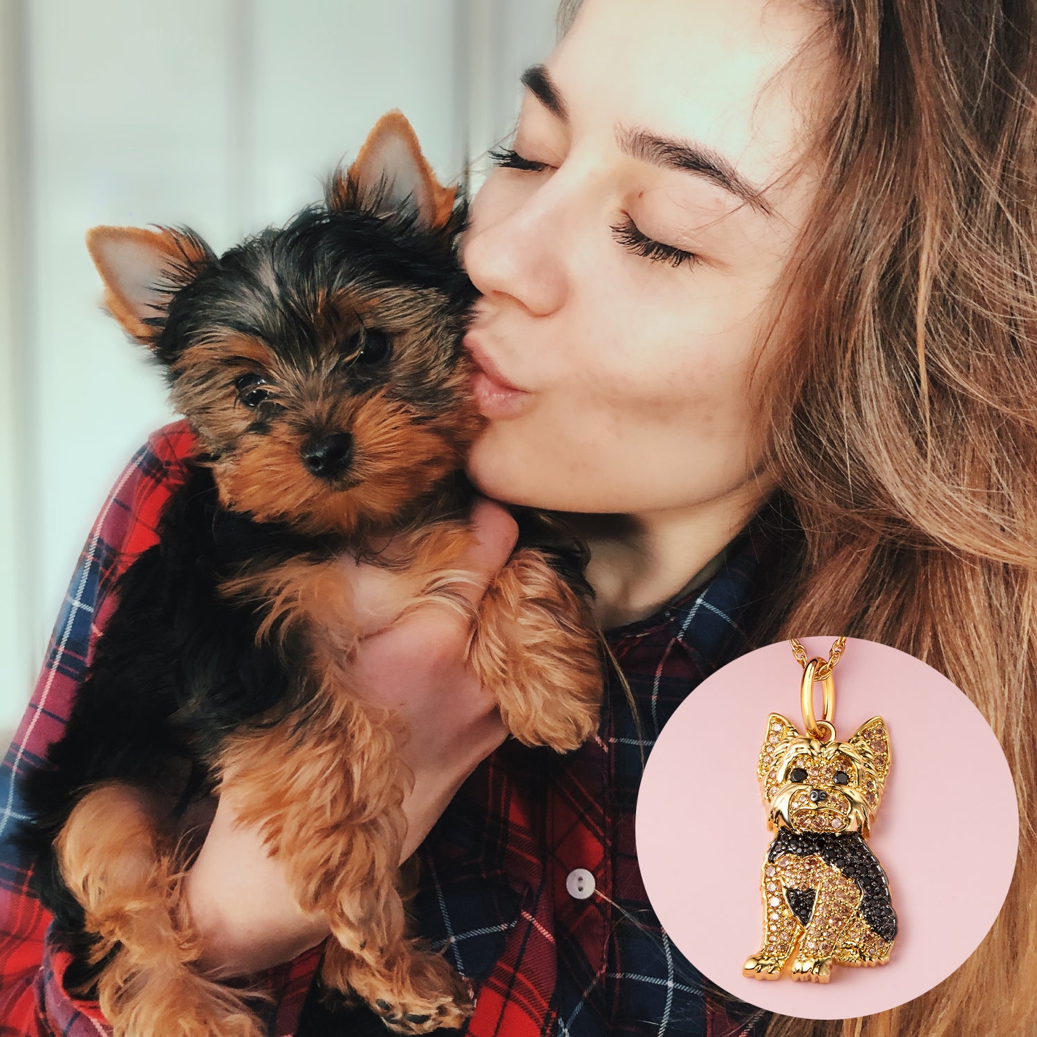 #color_Royal Yorkie
