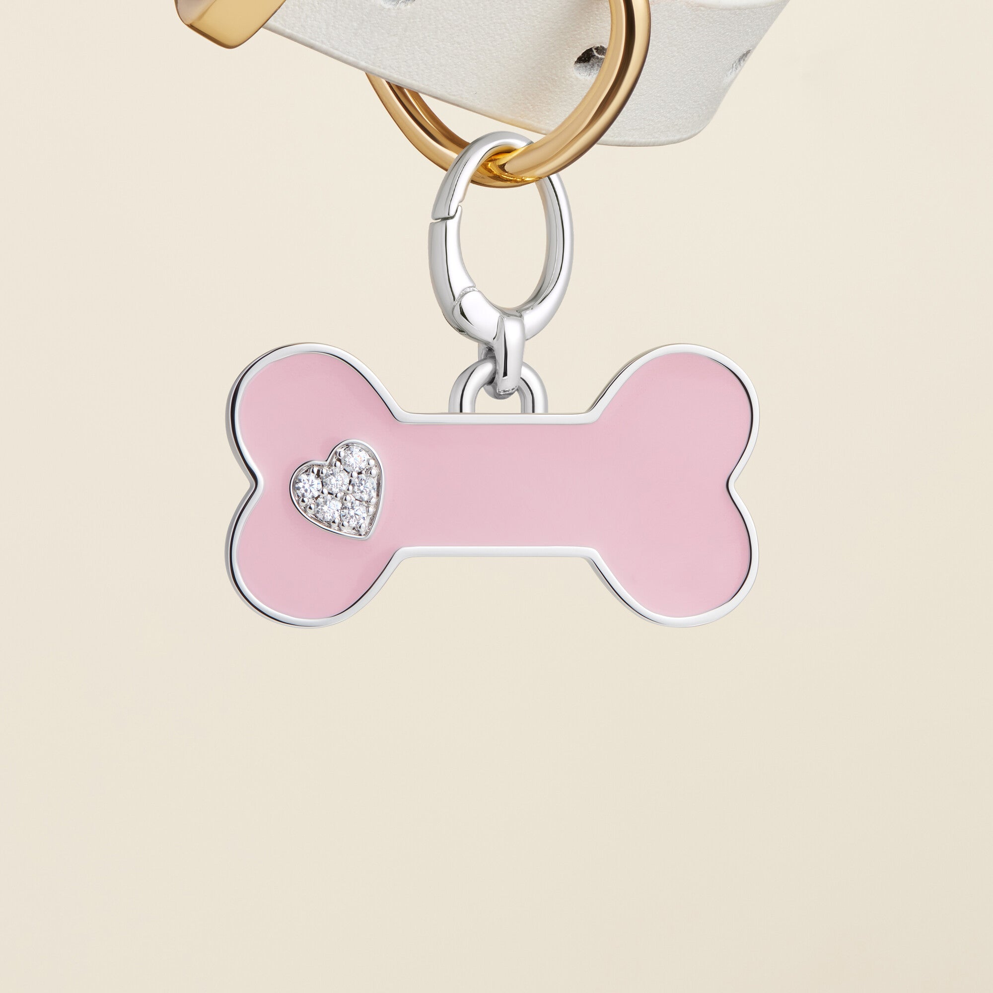 Bone Enamel Pet Id Tag