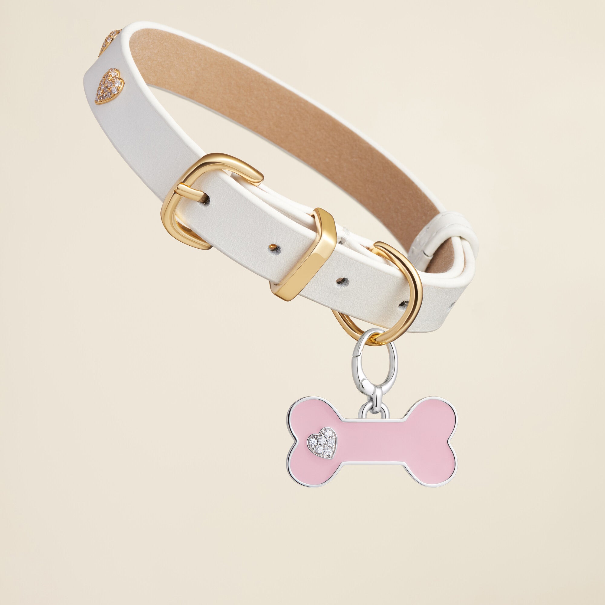 Bone Enamel Pet Id Tag