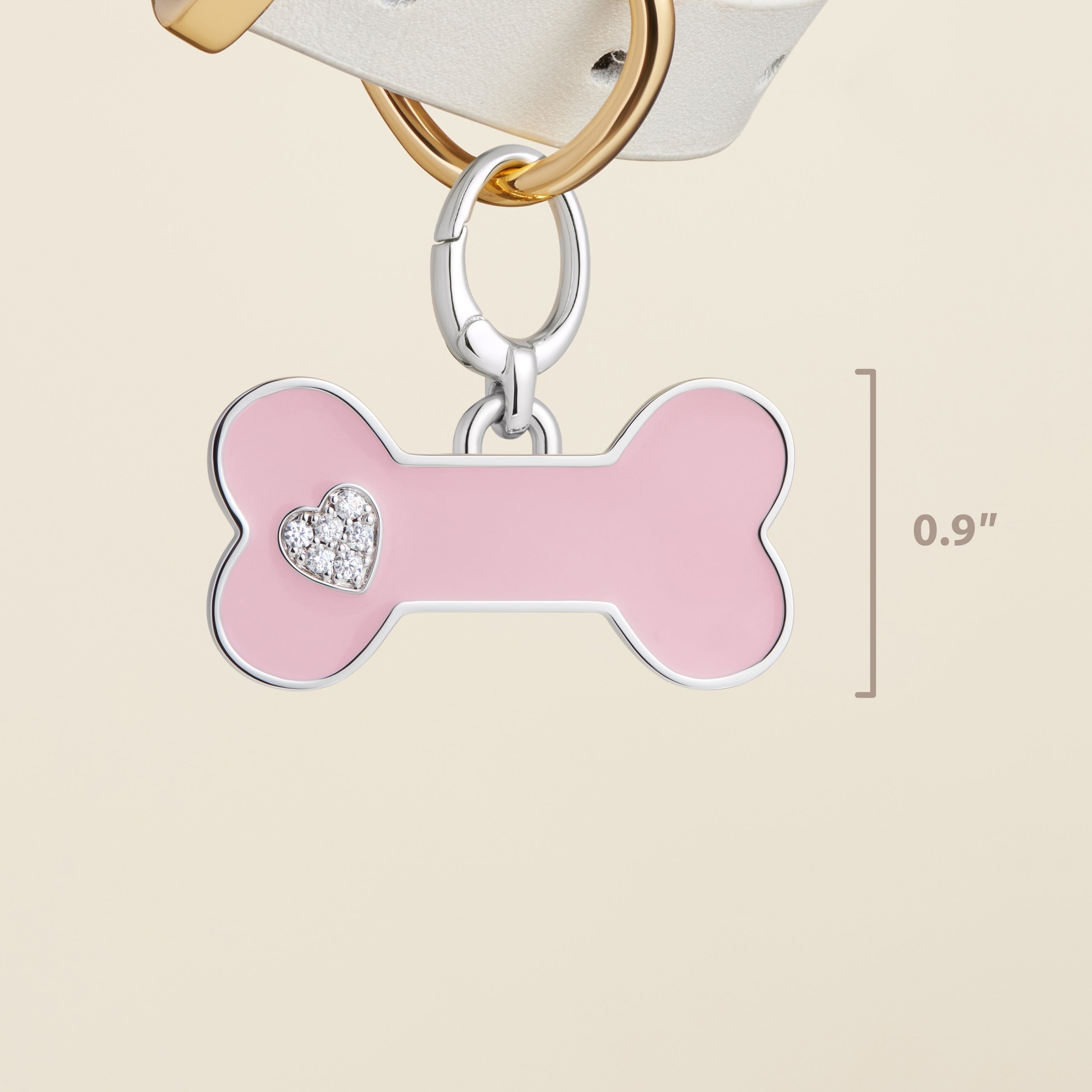 Bone Enamel Pet Id Tag