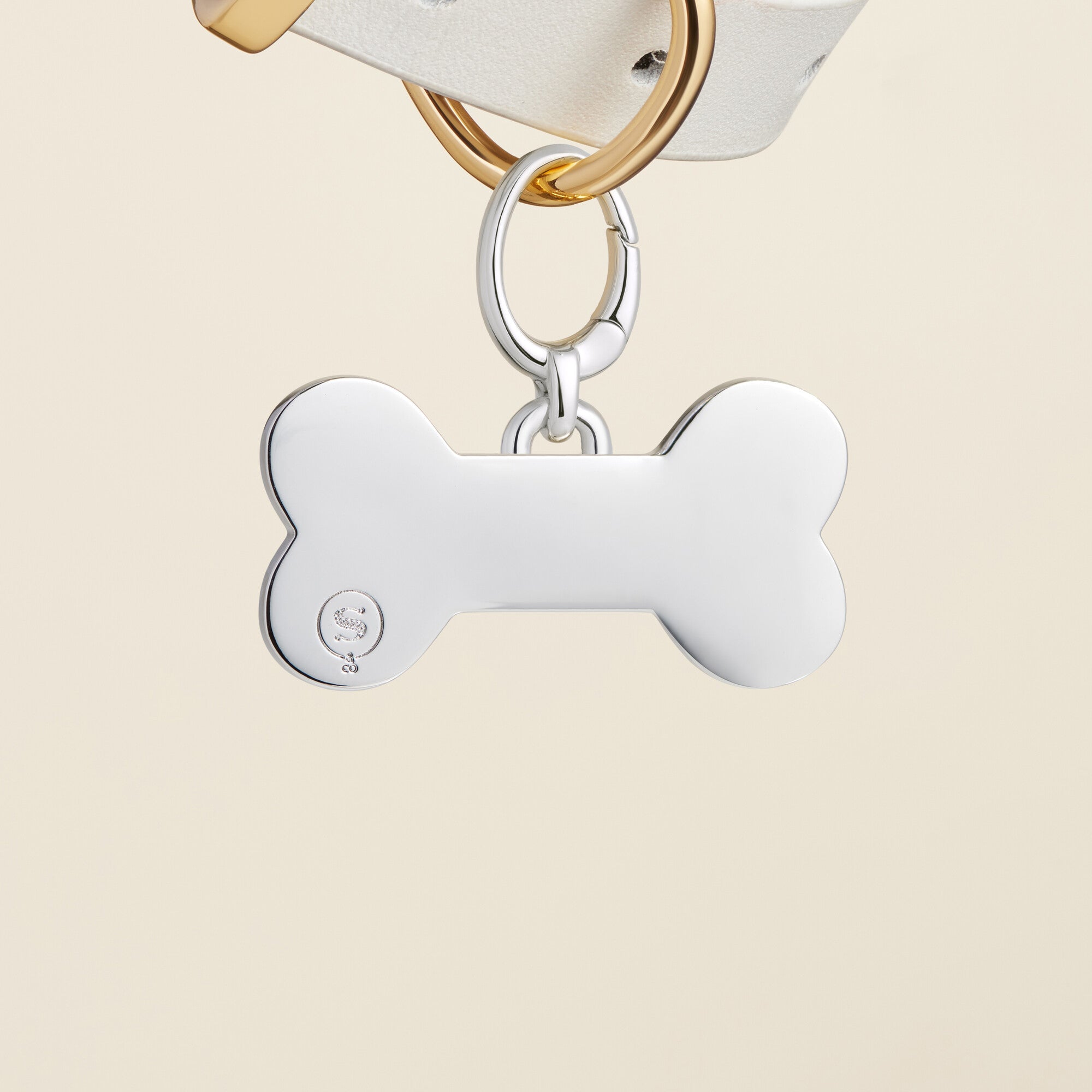 Bone Enamel Pet Id Tag