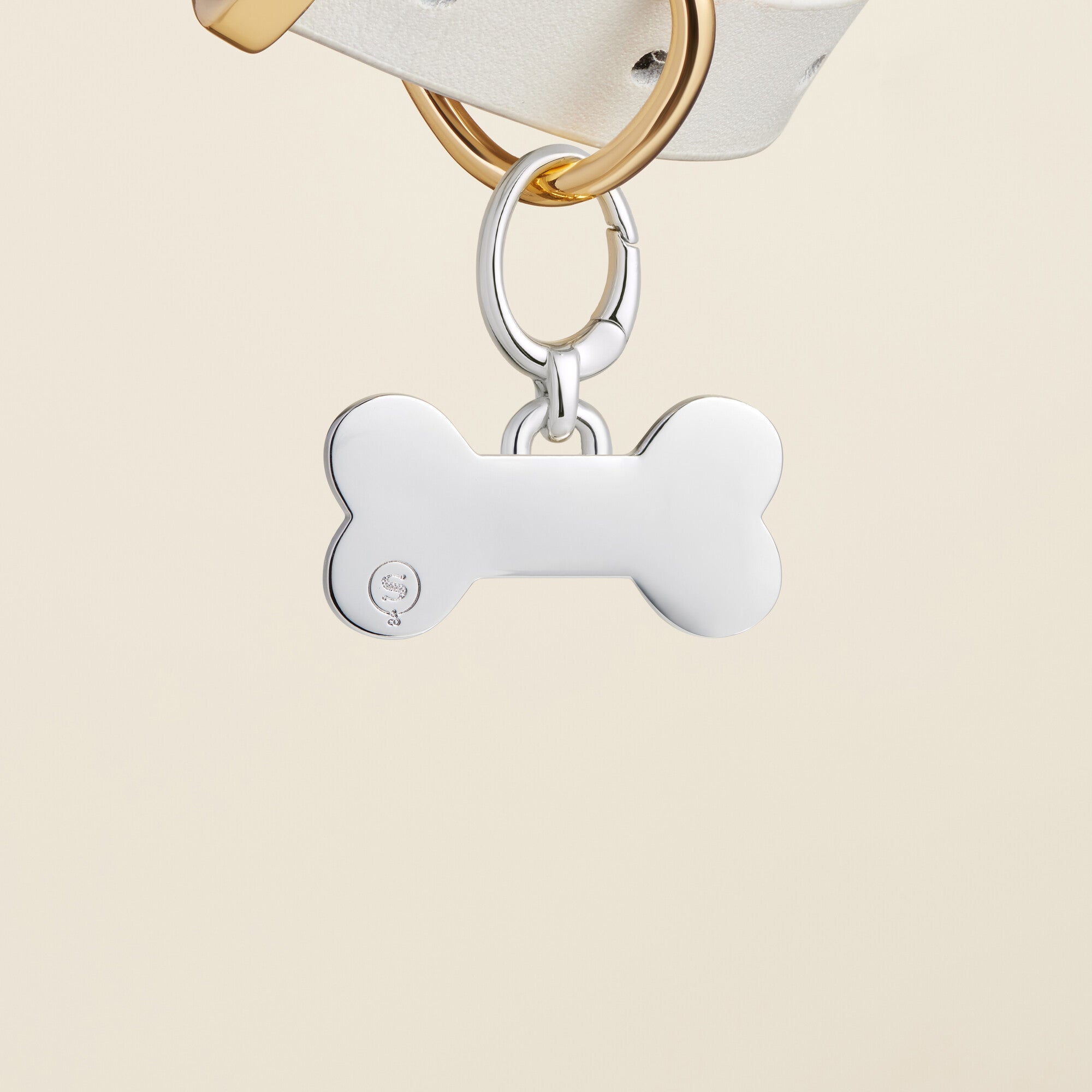 Bone Enamel Pet Id Tag