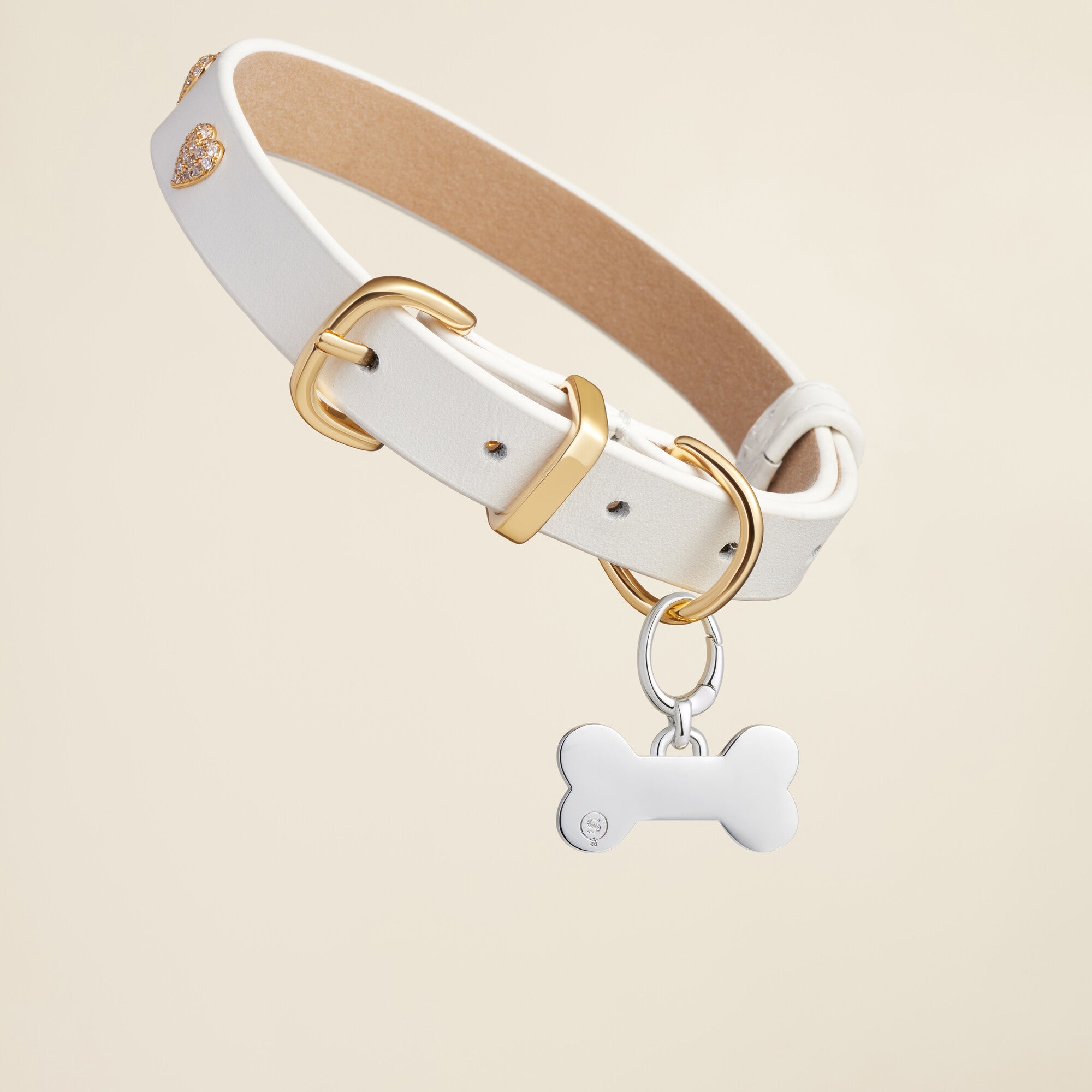 Bone Enamel Pet Id Tag