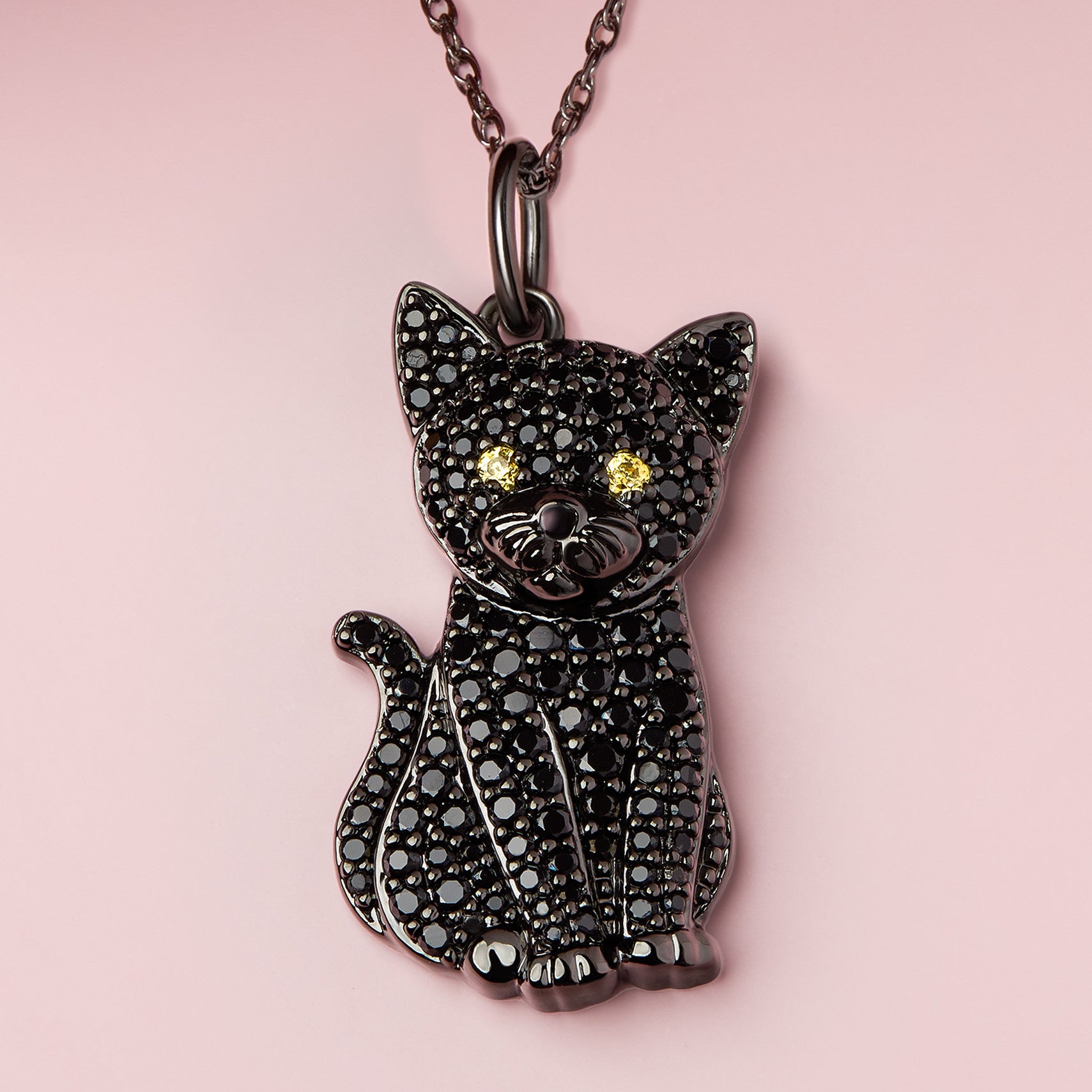 #color_Black Cat