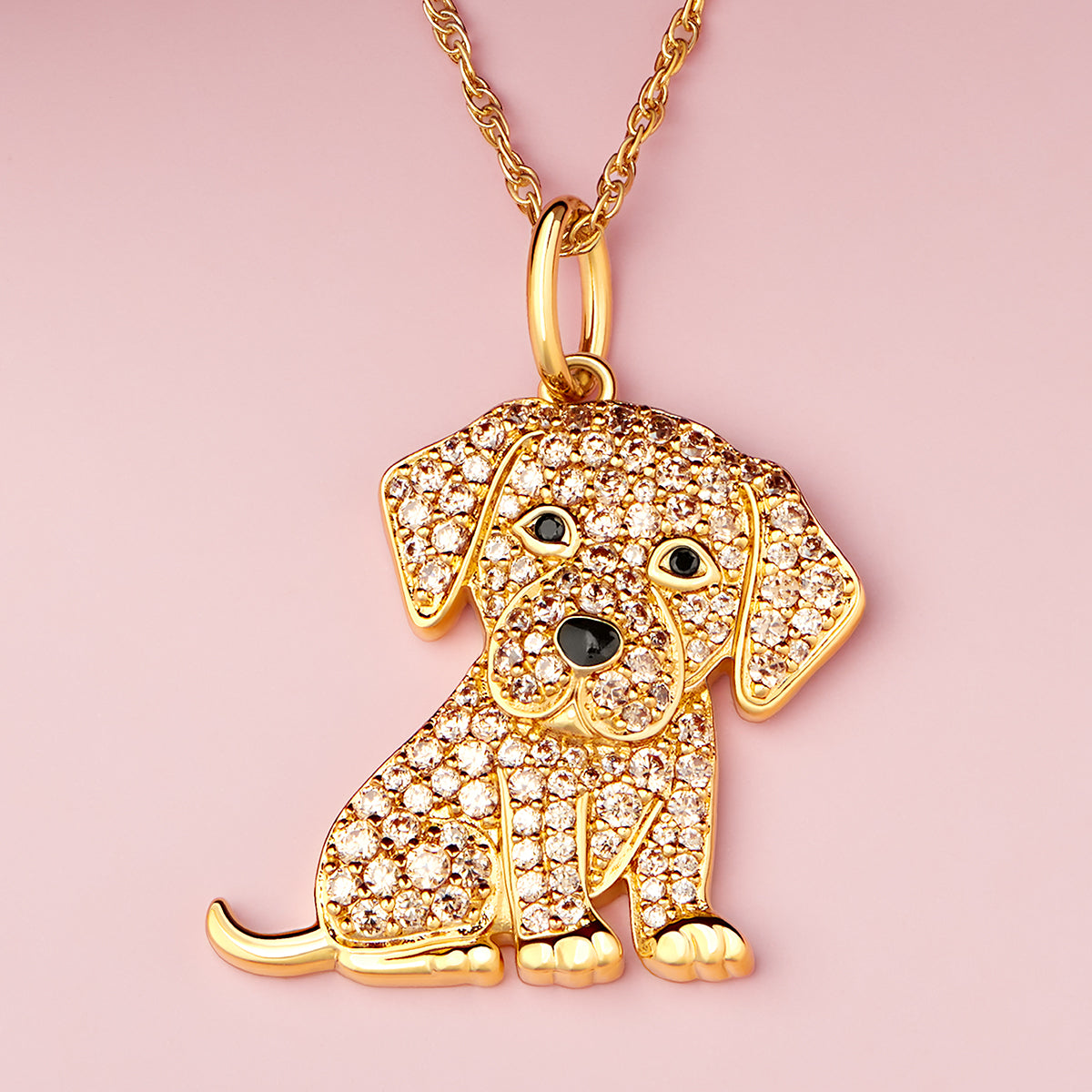 #color_Golden Labrador