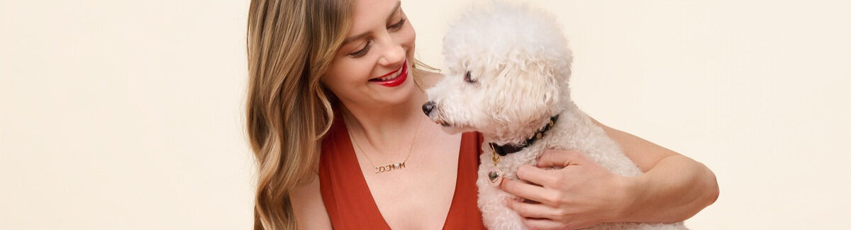 5 Cozy Fall Activities for Dogs and Cats to Make Lasting Memories