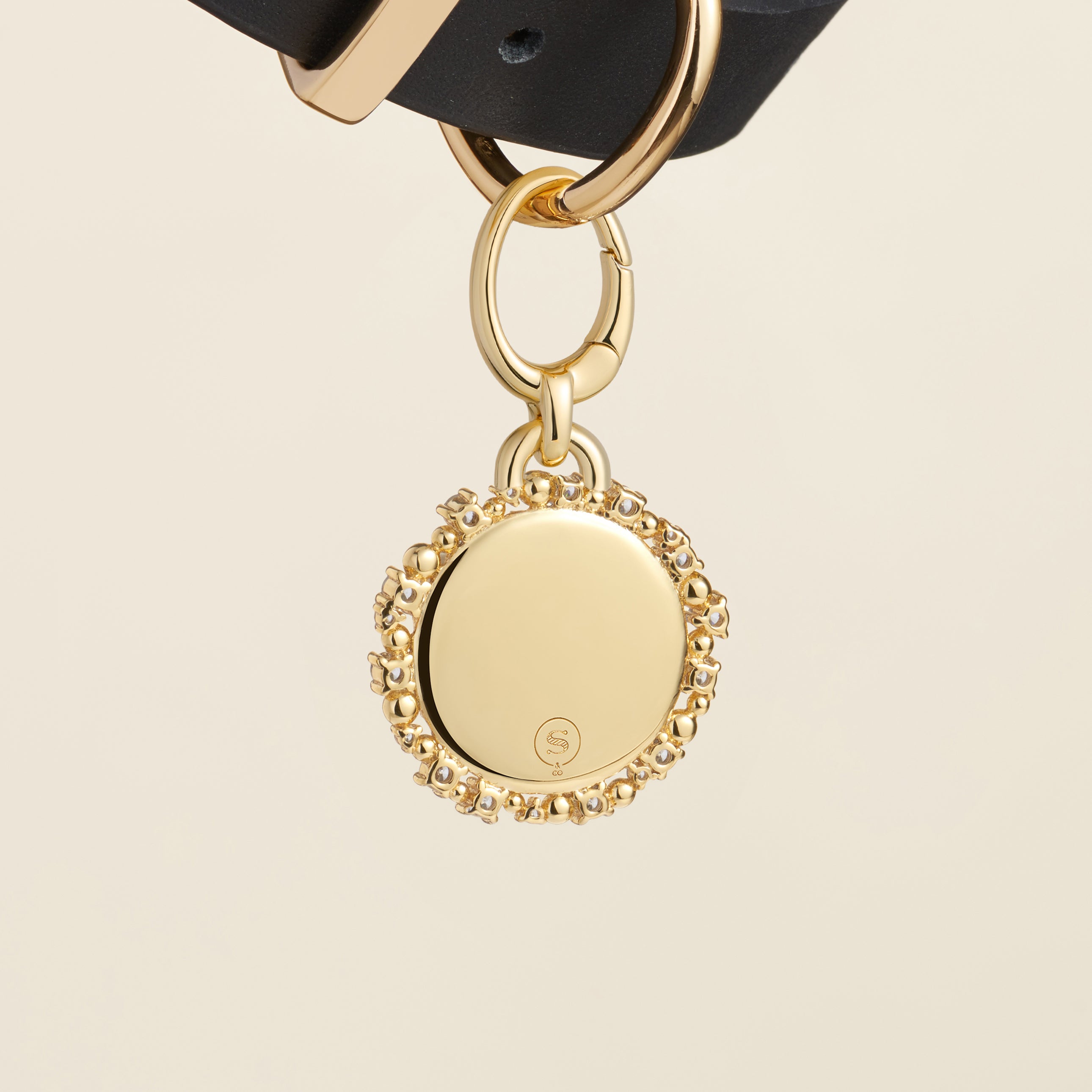 Sun & Moon Pet Id Tag