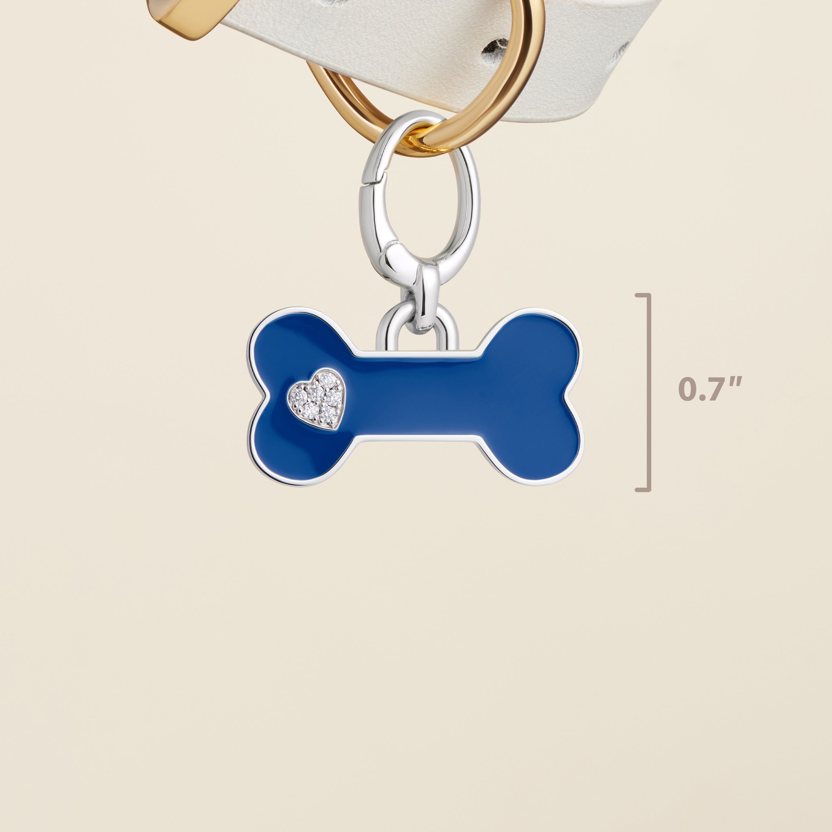 #color_Small Navy Blue Bone