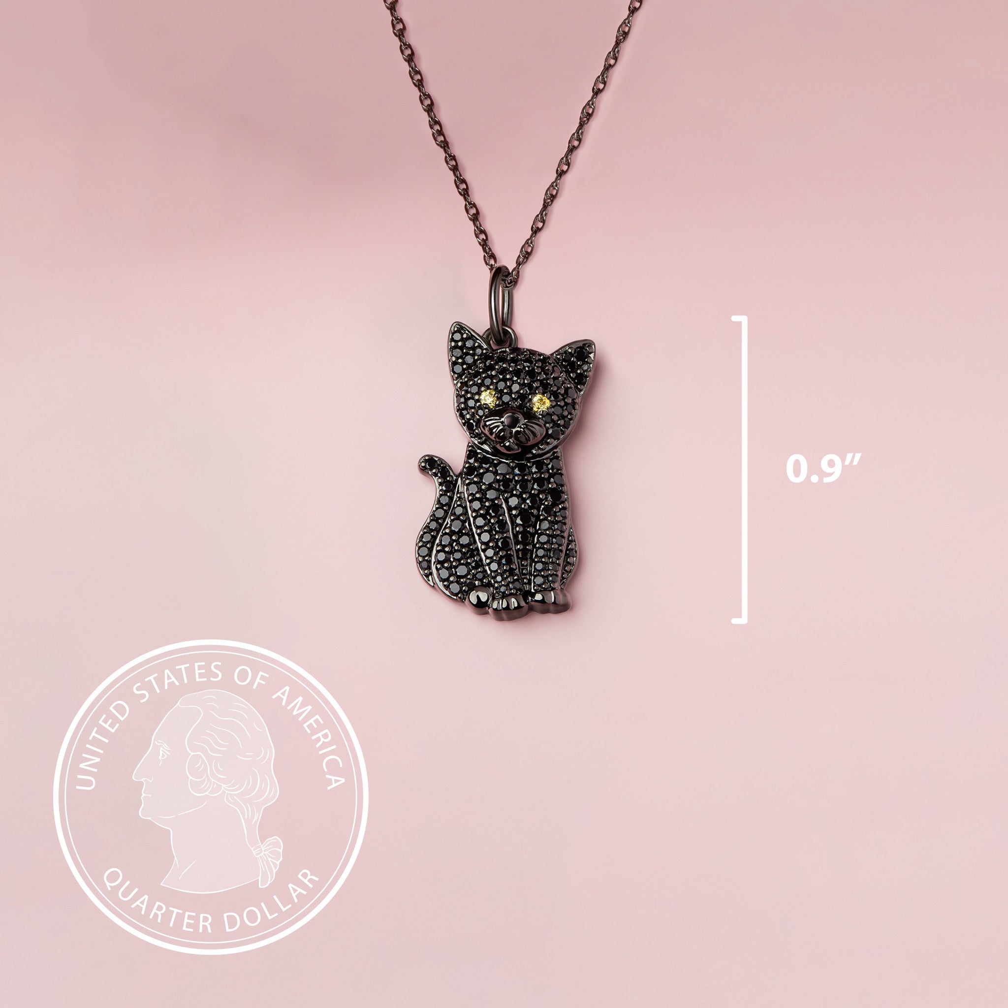 #color_Black Cat