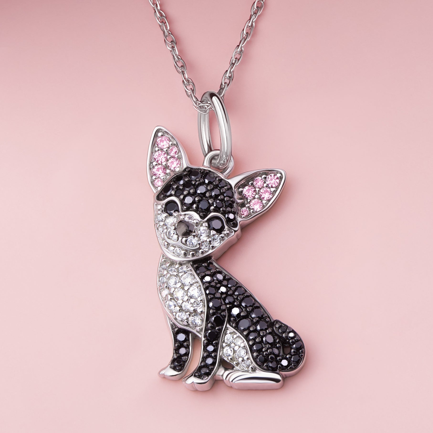 #color_Black Cheeky Chihuahua