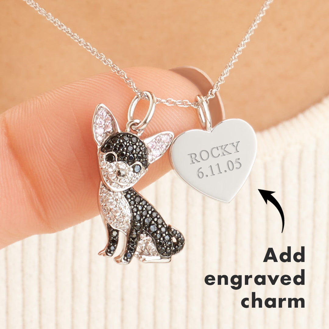 #color_Black Cheeky Chihuahua