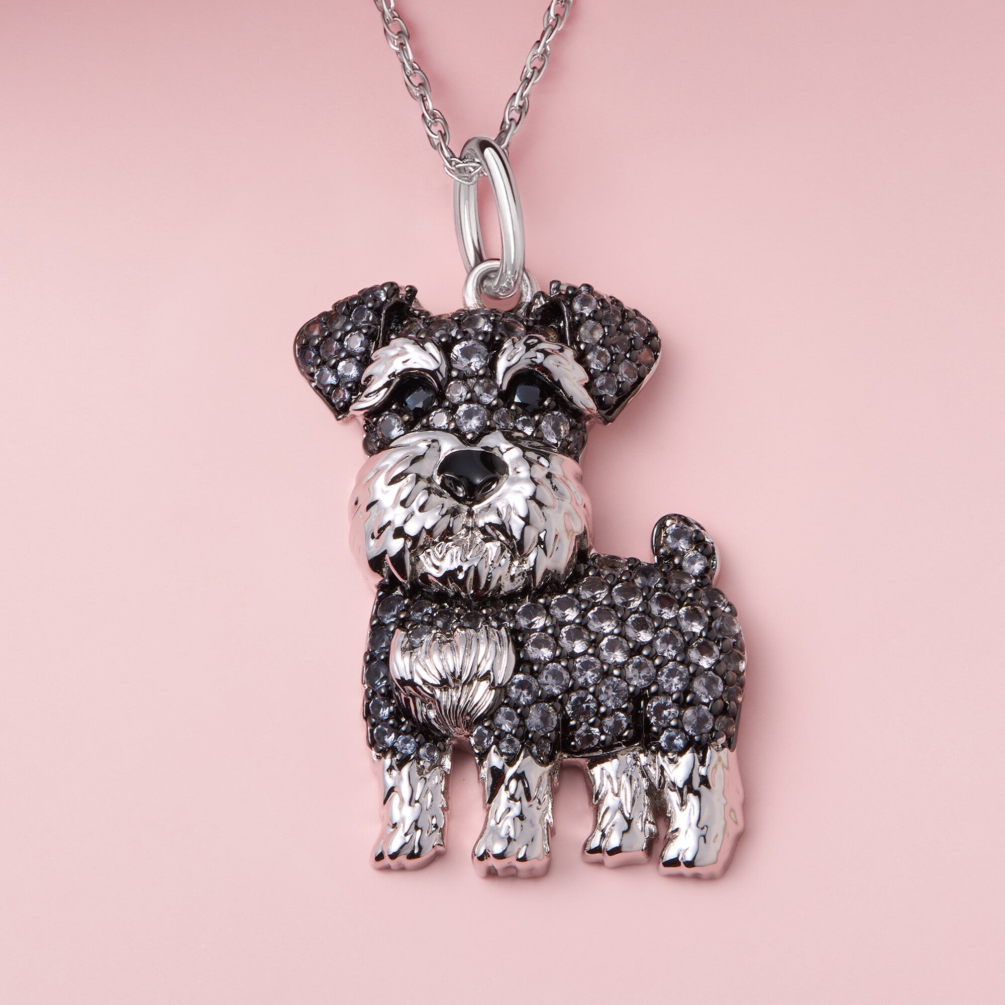 #color_Gray Schnauzer