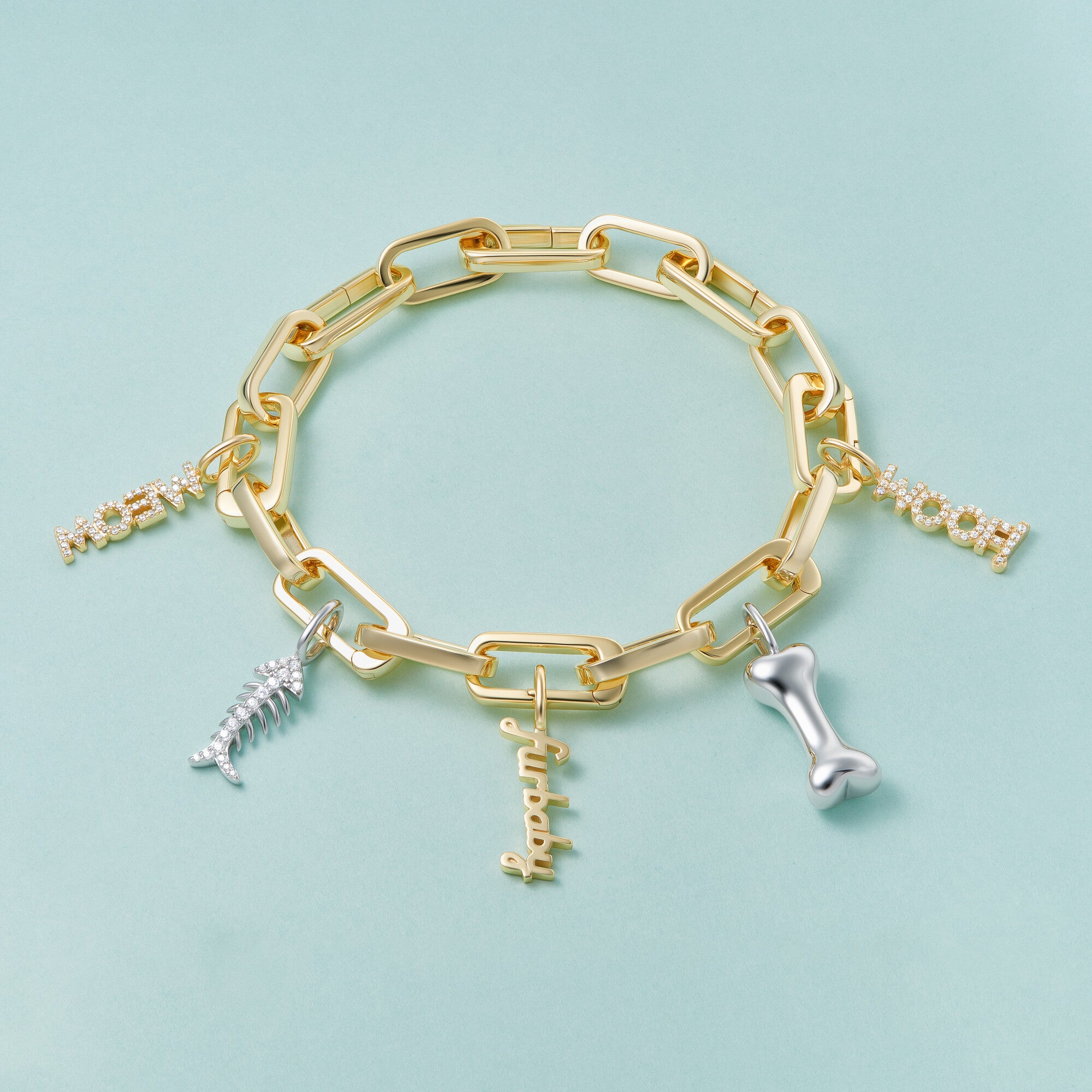 Fishbone CZ Sterling Silver Charm