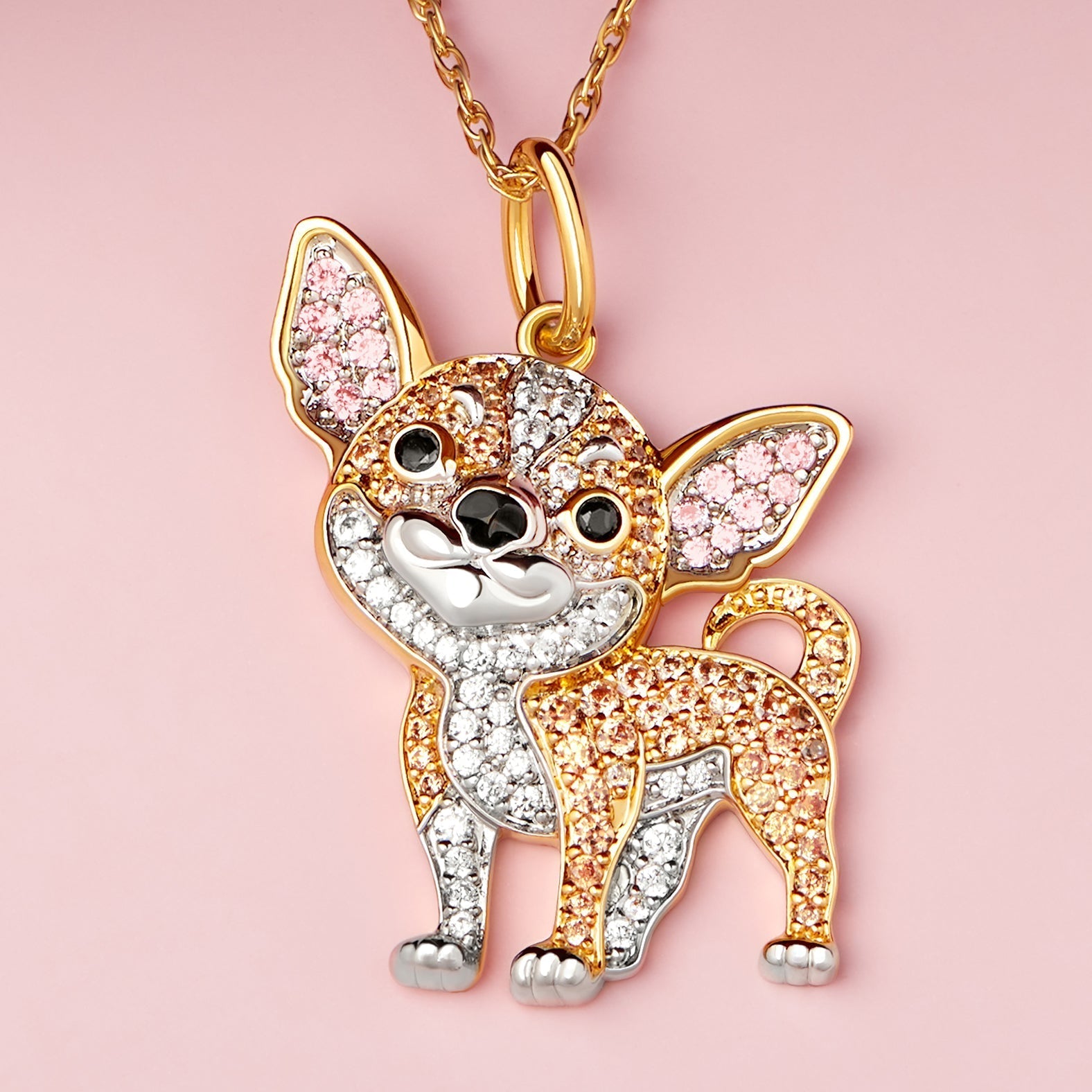 #color_Gold Charming Chihuahua