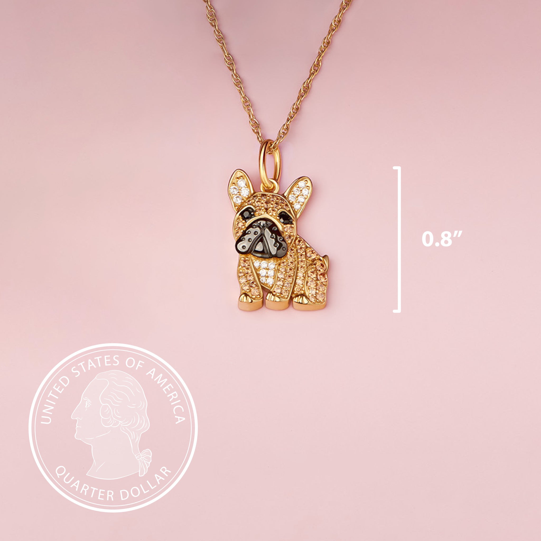 #color_Gold Frenchie