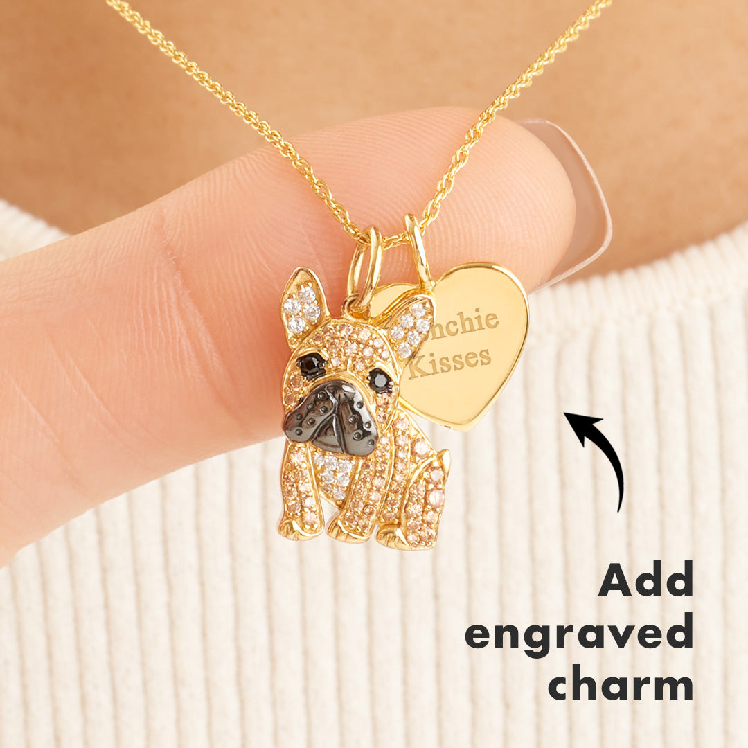 #color_Gold Frenchie