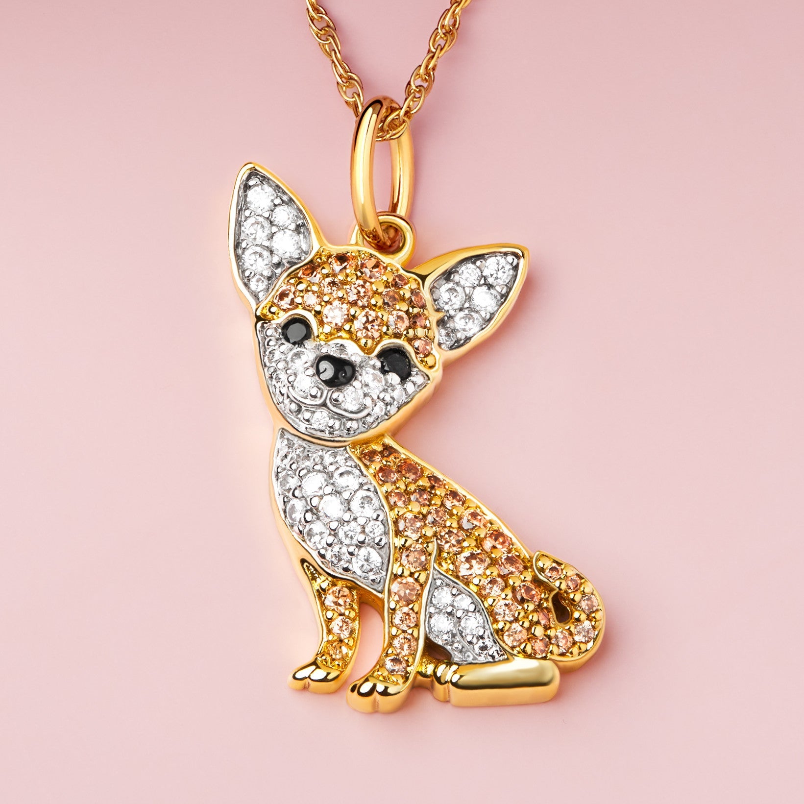 #color_Gold Cheeky Chihuahua