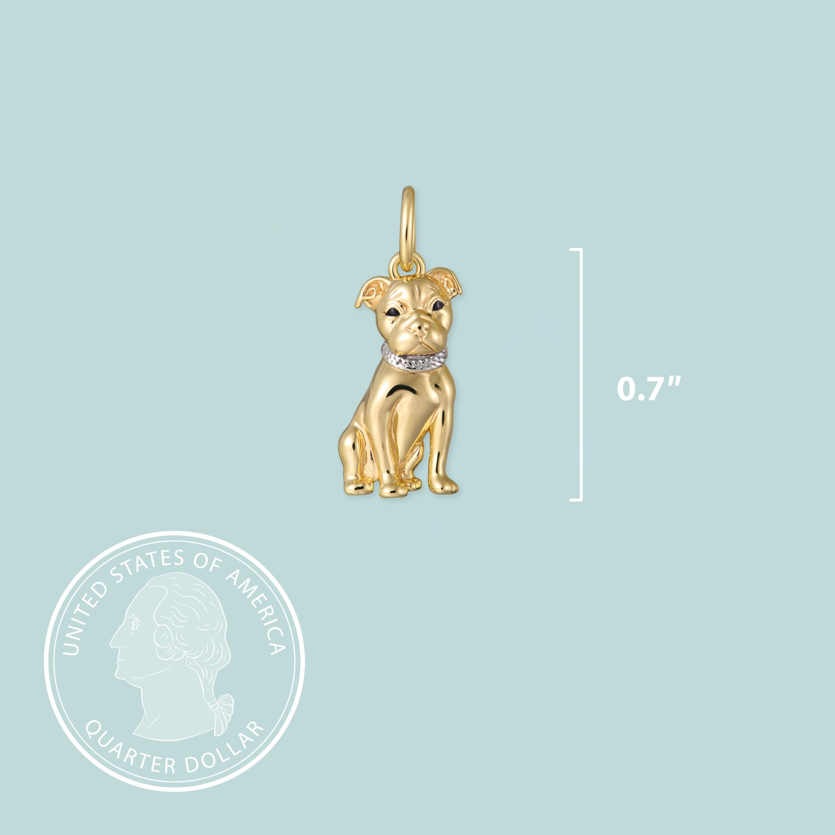 Pitbull Sterling Silver Charm