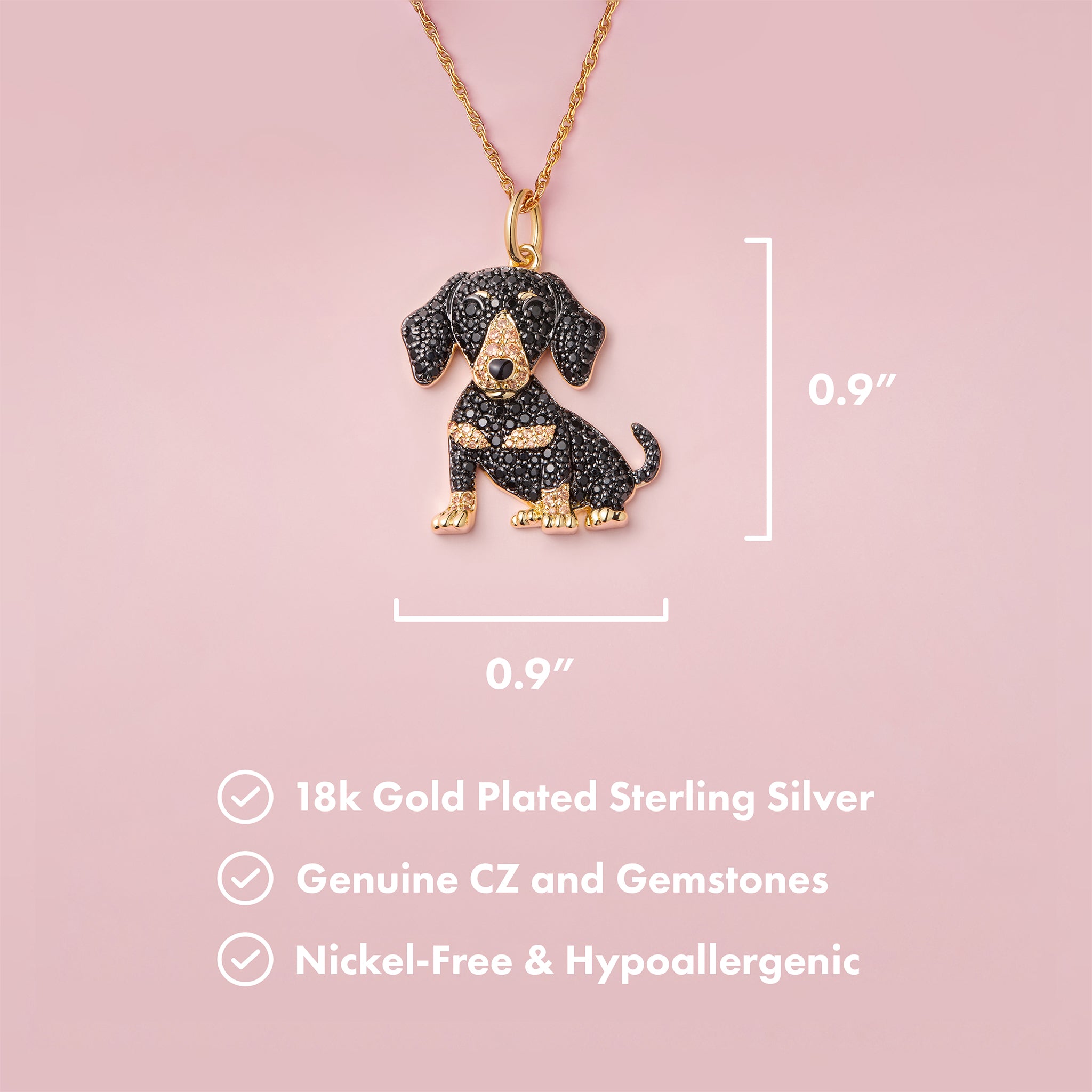 #color_Adult Dachshund