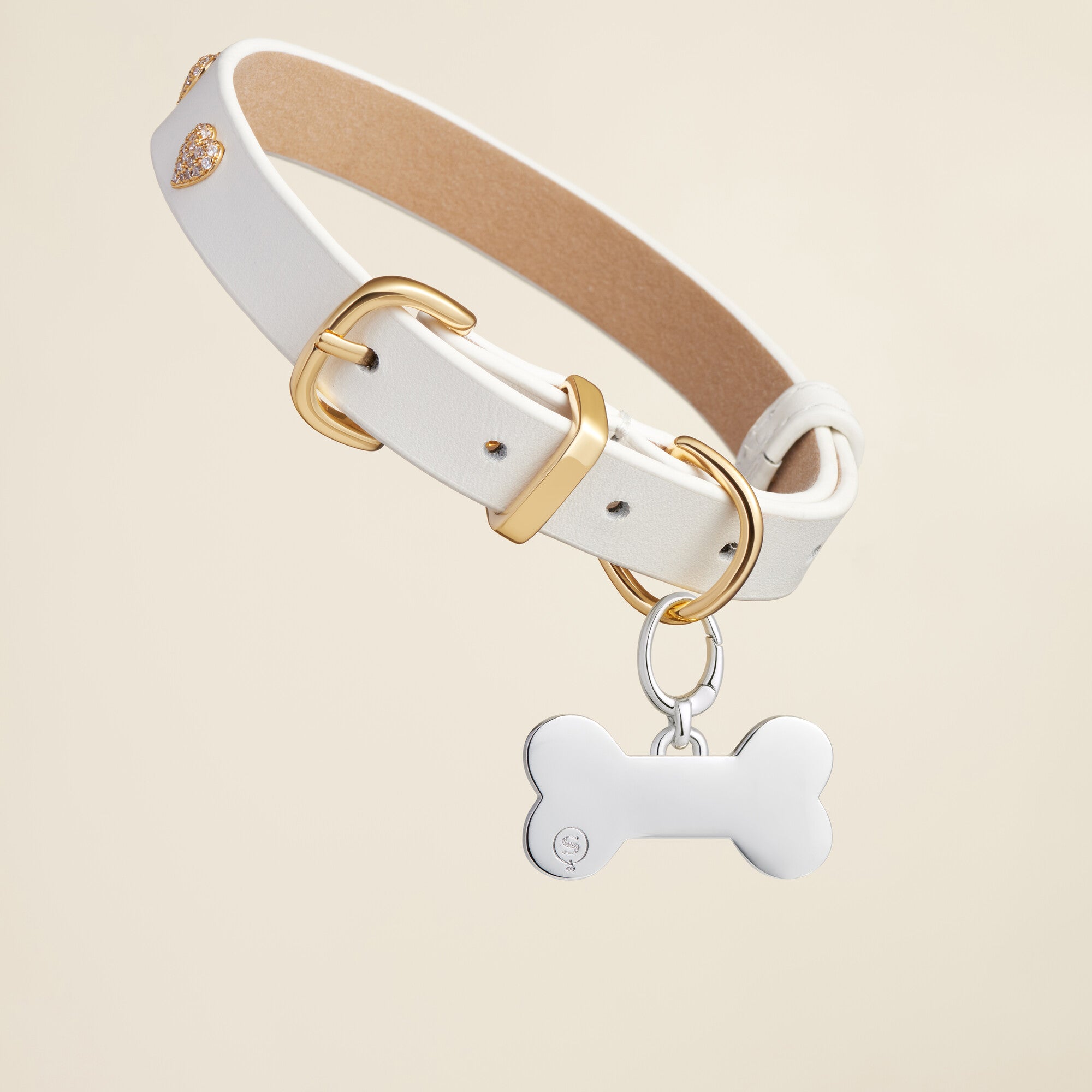 Bone Enamel Pet Id Tag