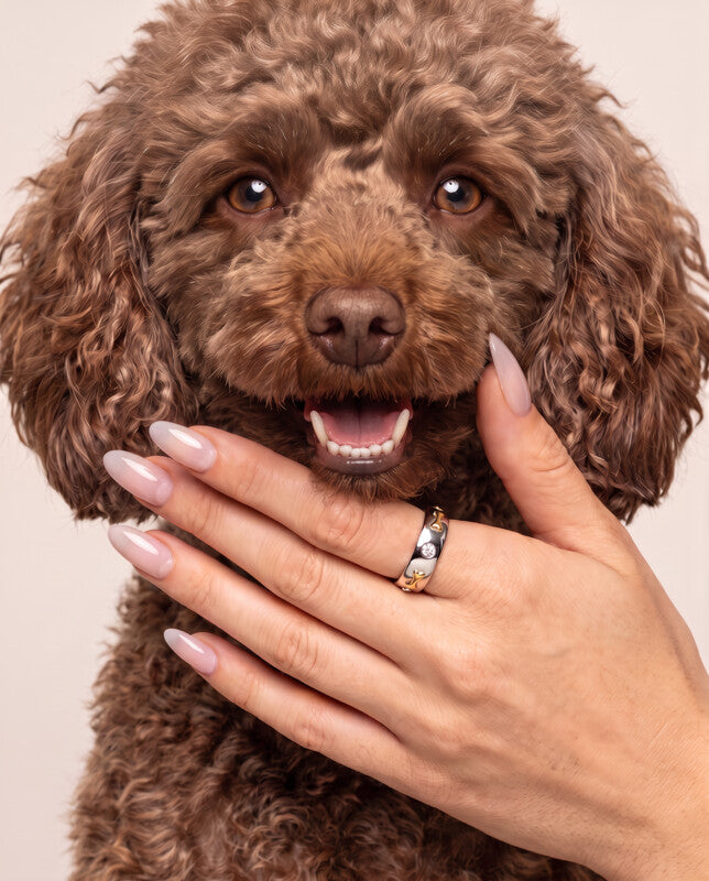 The Dog Bone Ring