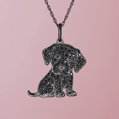 #color_Black Labrador