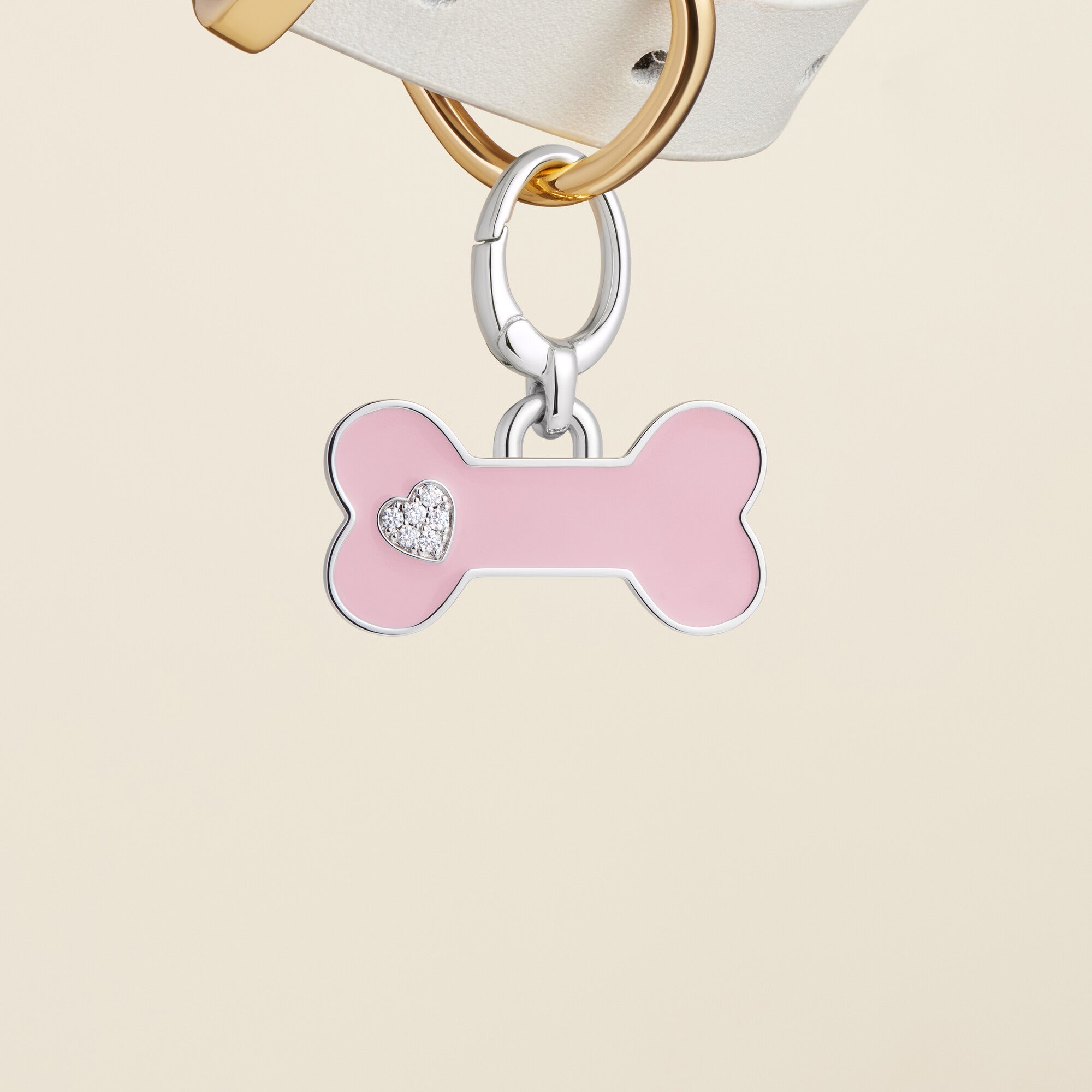 Bone Enamel Pet Id Tag
