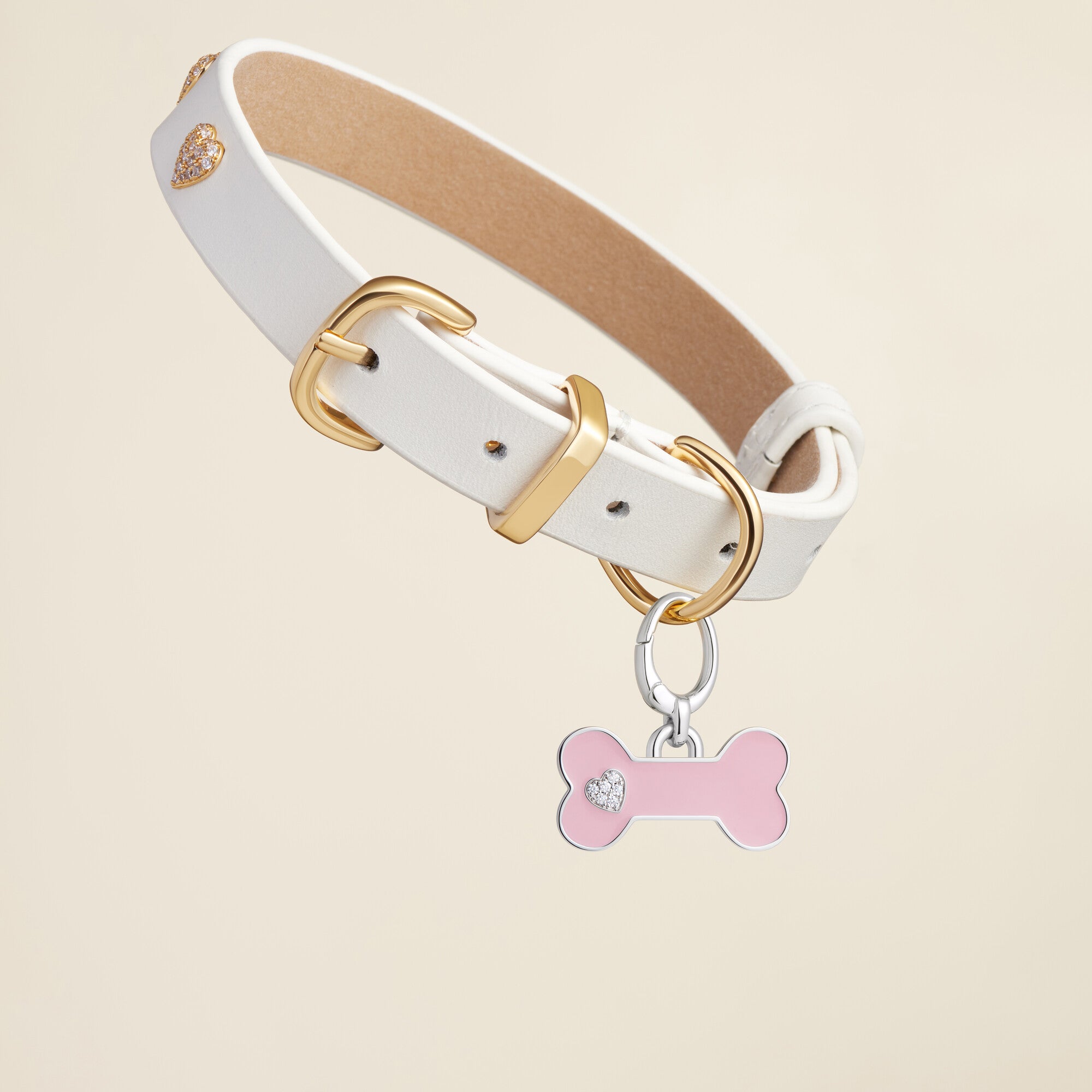 Bone Enamel Pet Id Tag