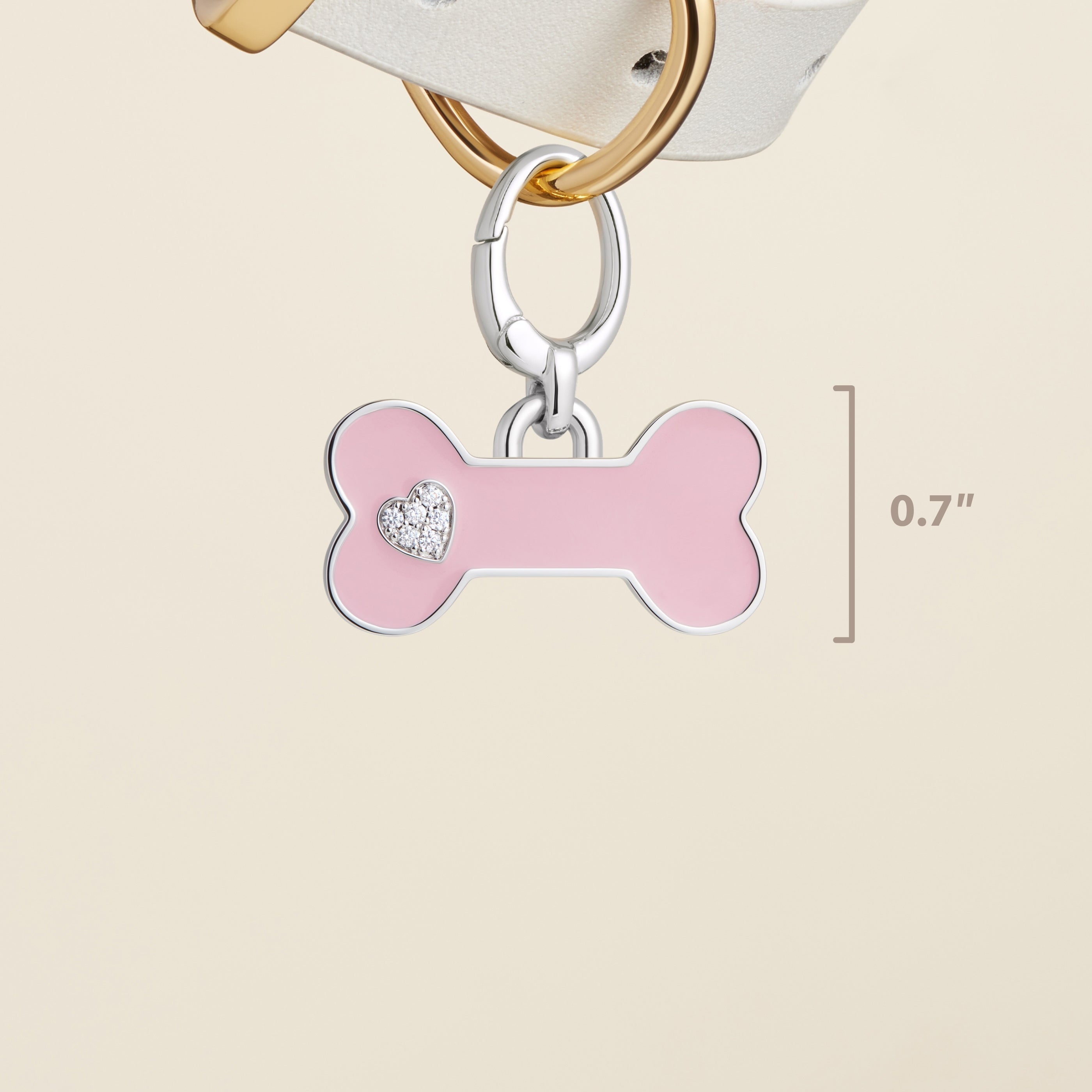 Bone Enamel Pet Id Tag