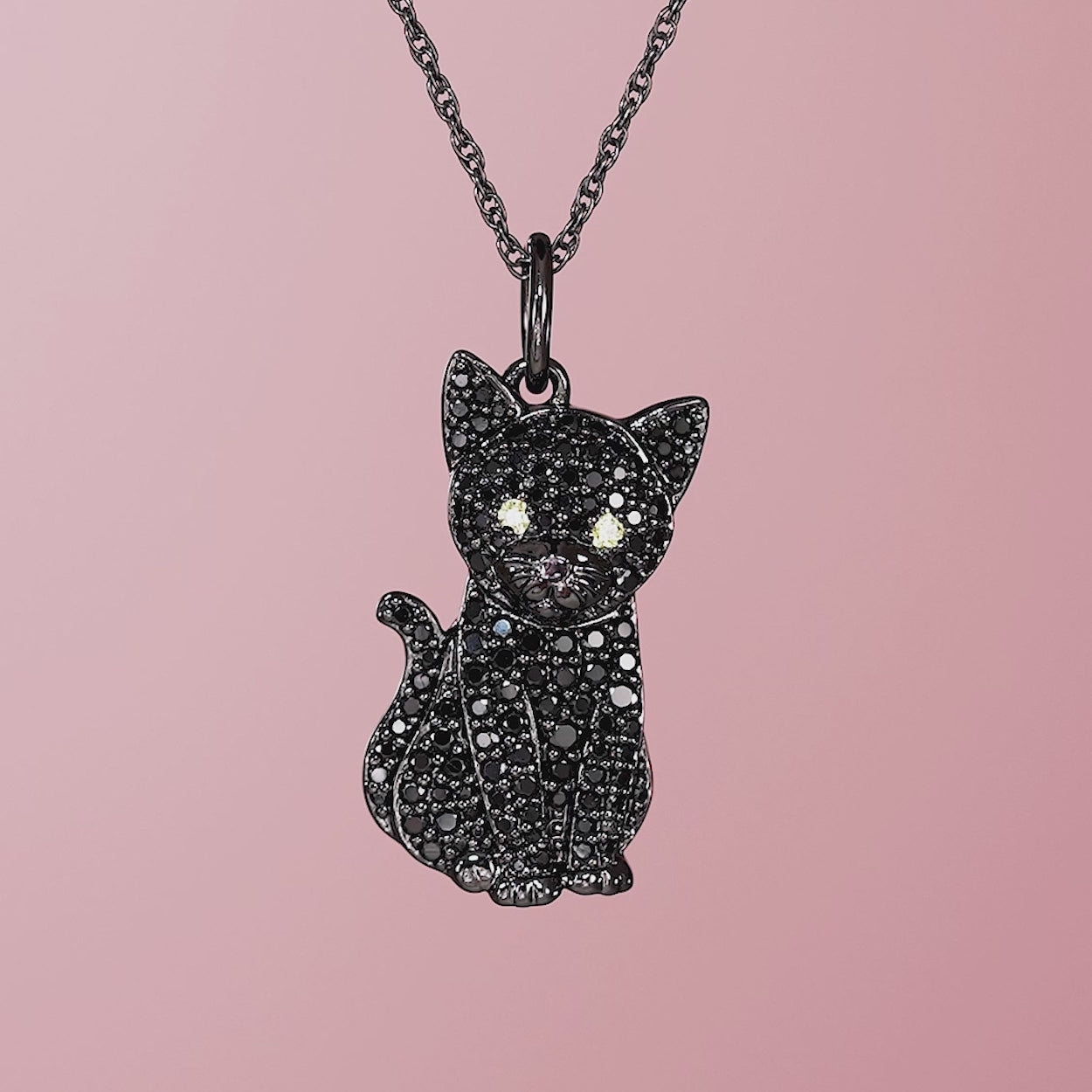 #color_Black Cat