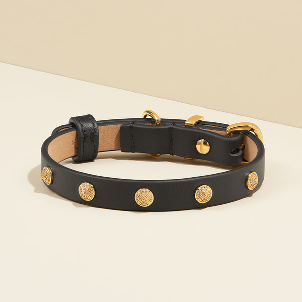 Round Studded Dog Collar - Black/Navy/White