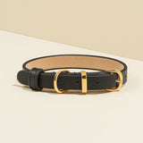 Round Studded Dog Collar - Black/Navy/White